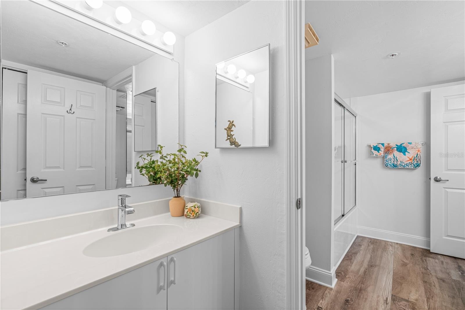 Guest Bath with 2 entrys