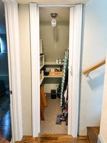 Understairs closet