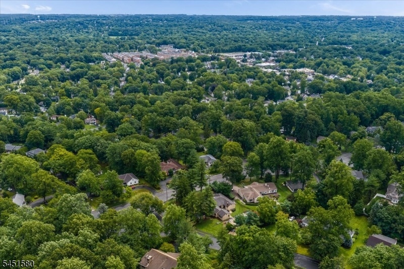 Livingston