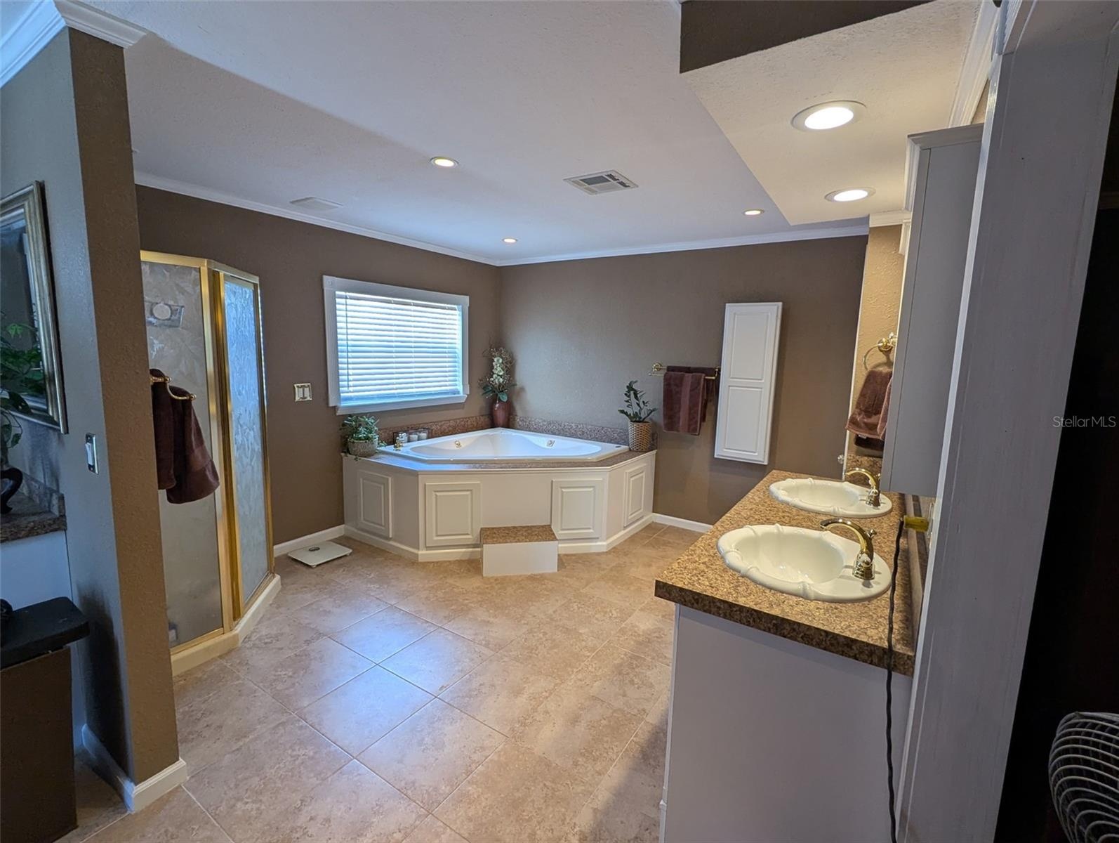 Master Bathroom Jacuzzi Tub