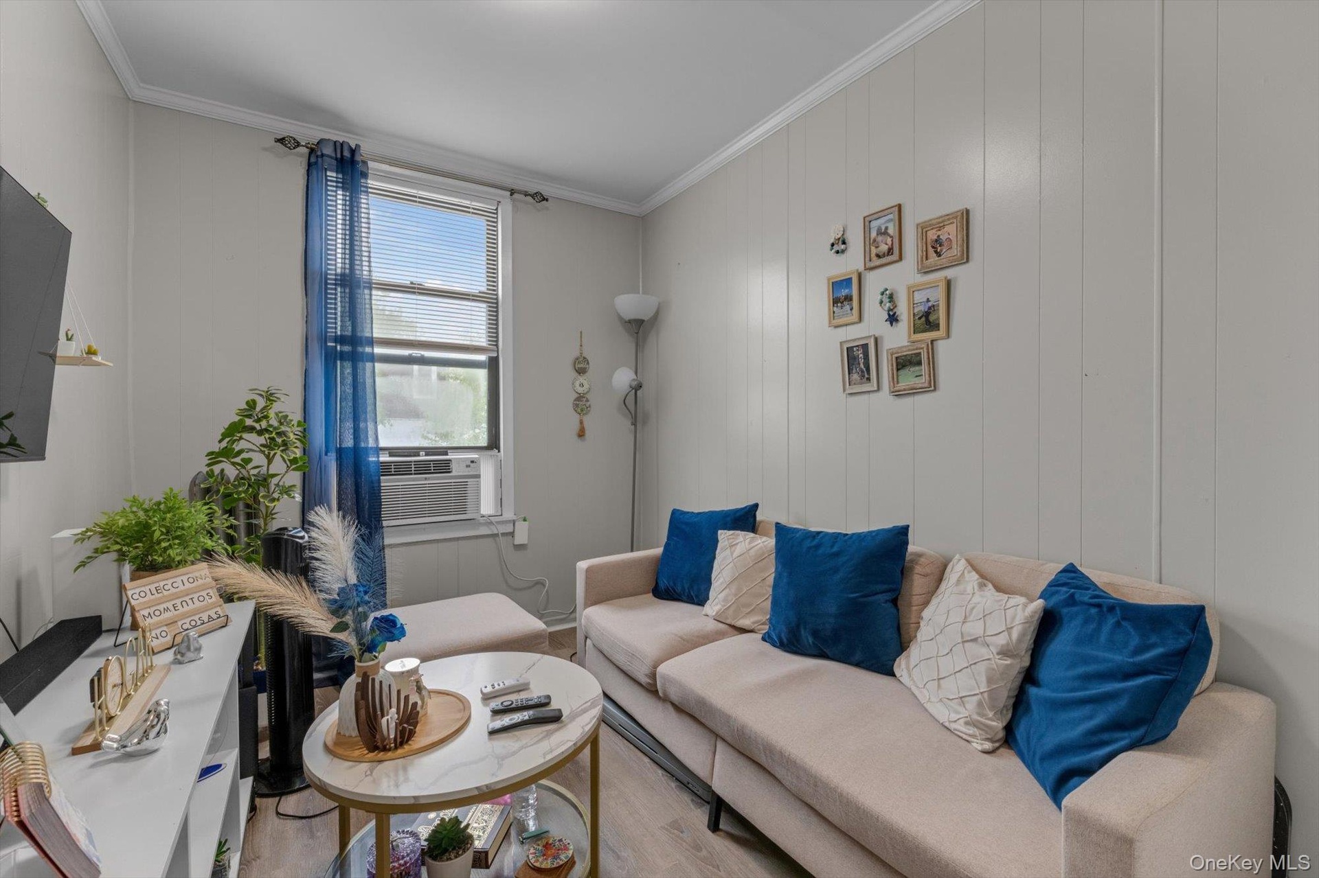 Bright, light-filled living room featuring white shiplap walls and large multi-pane windows.