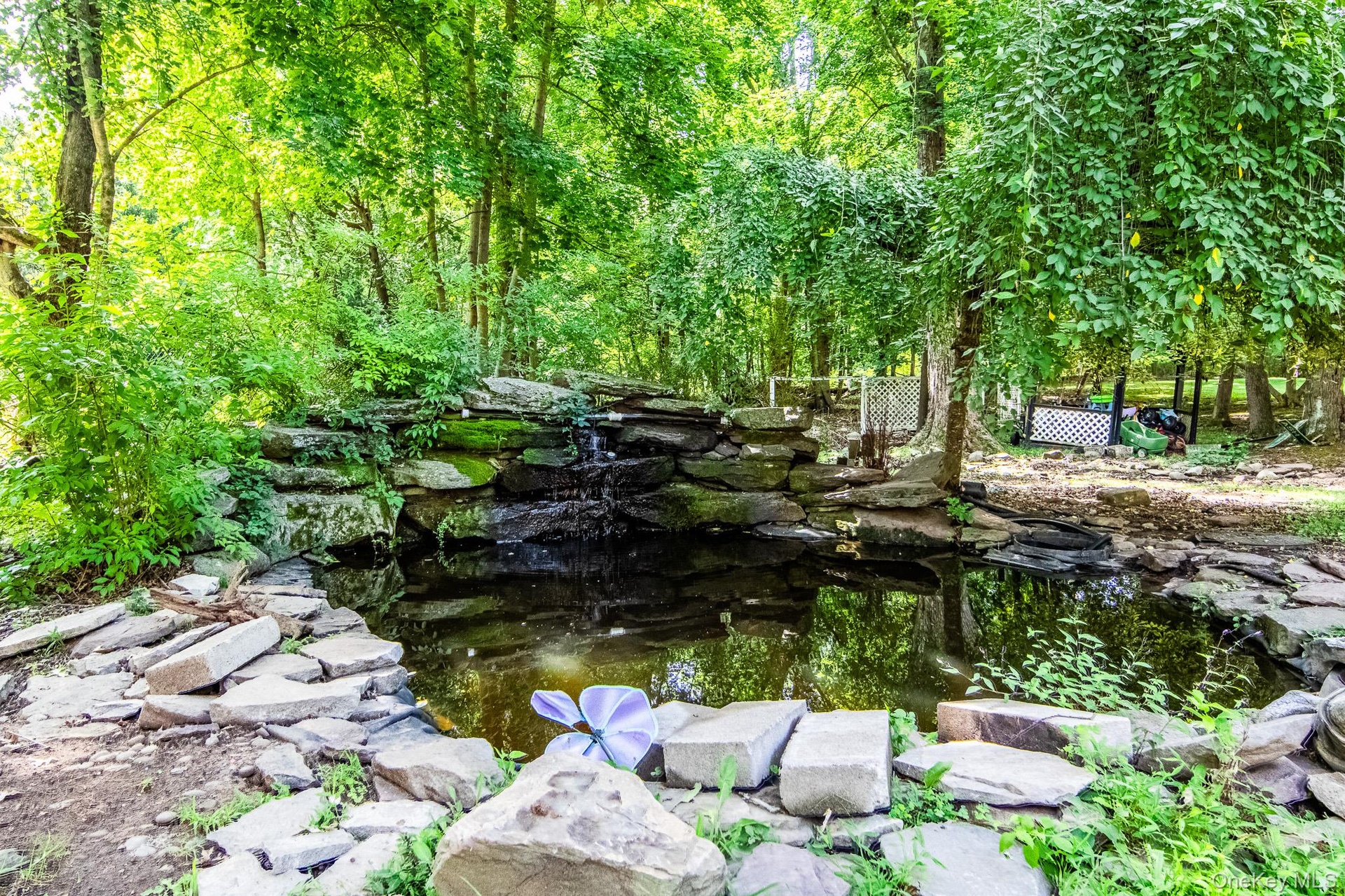 KOI POND