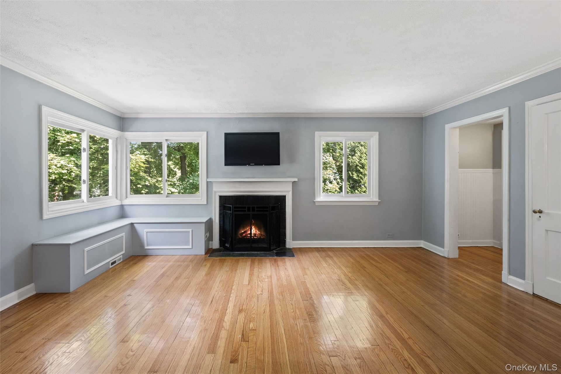 Living Room with Working Wood Fire Place