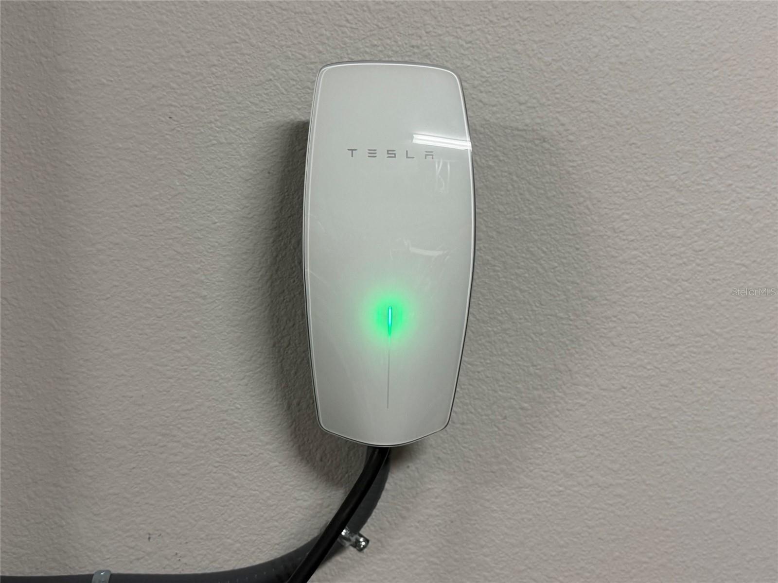 14048 Larkspur Lake Dr - Tesla EV charger included inside the three-car garage.