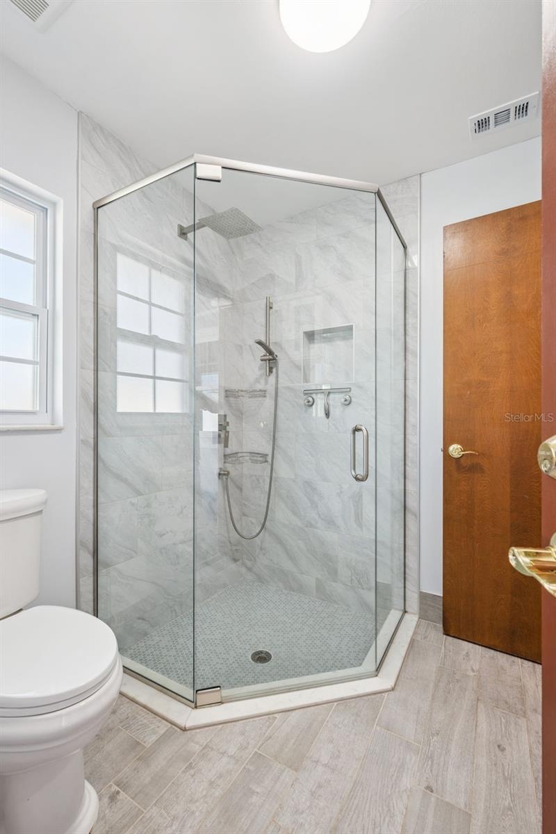 Primary Bathroom Shower