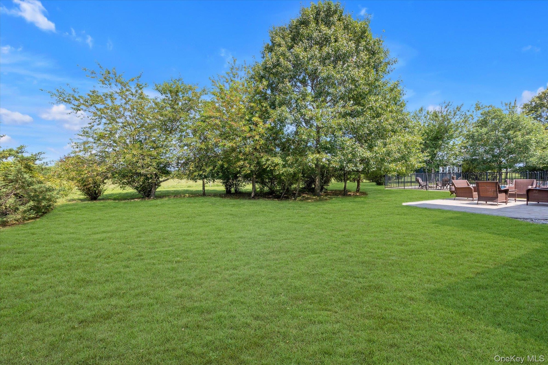 Expansive lawn area with mature trees and a paved patio