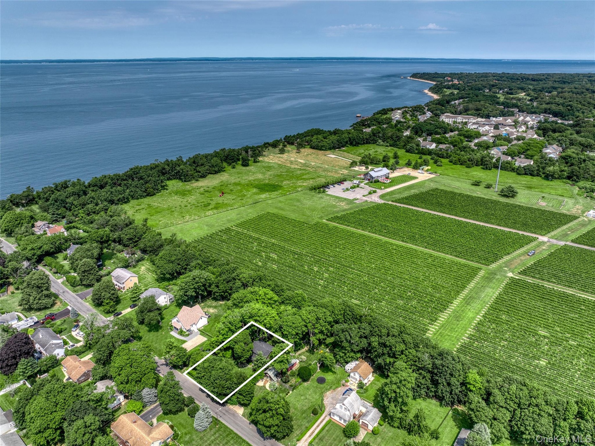 adjacent to vineyard