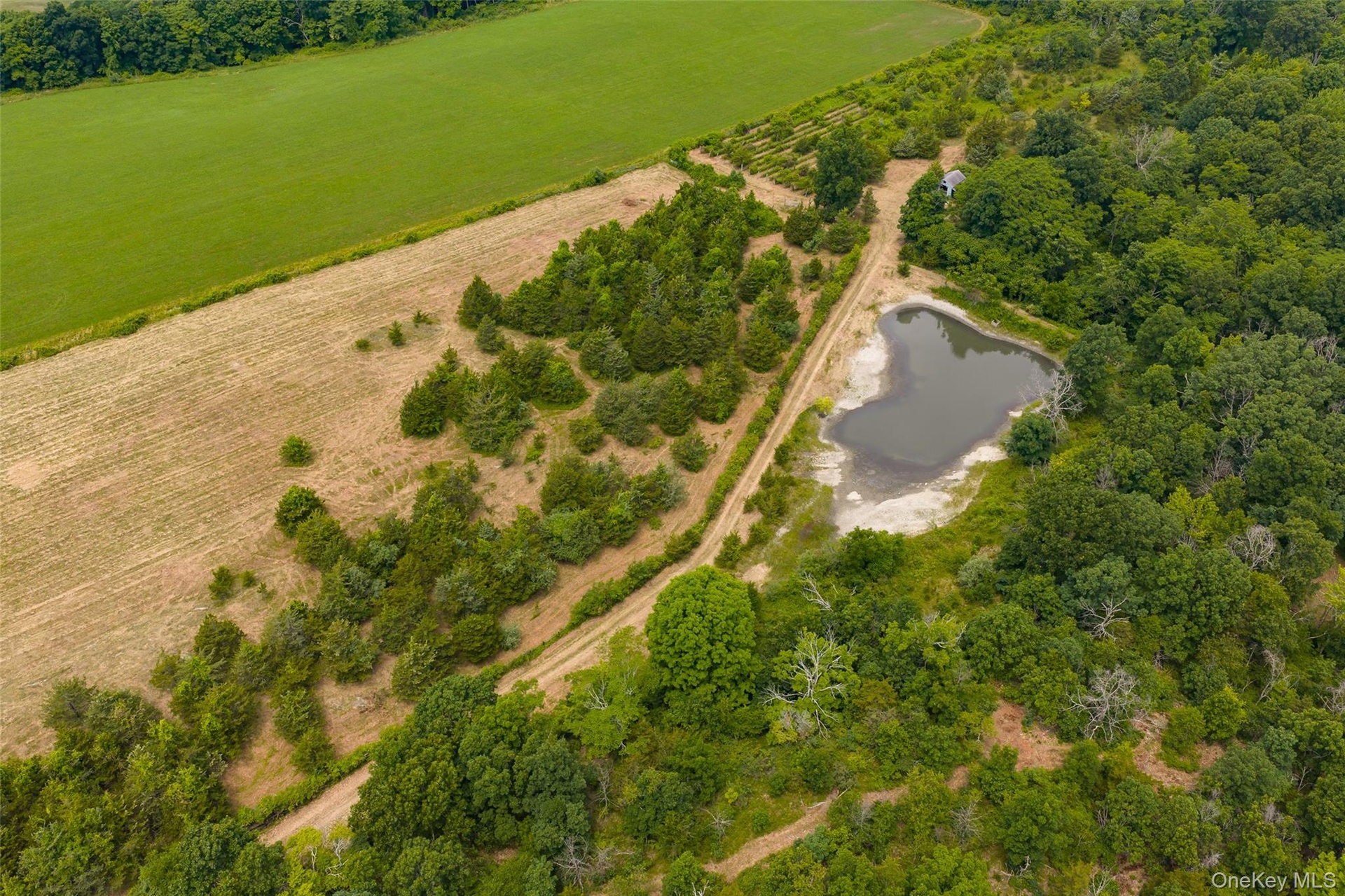 Eastern wooded portion and wetlands pond