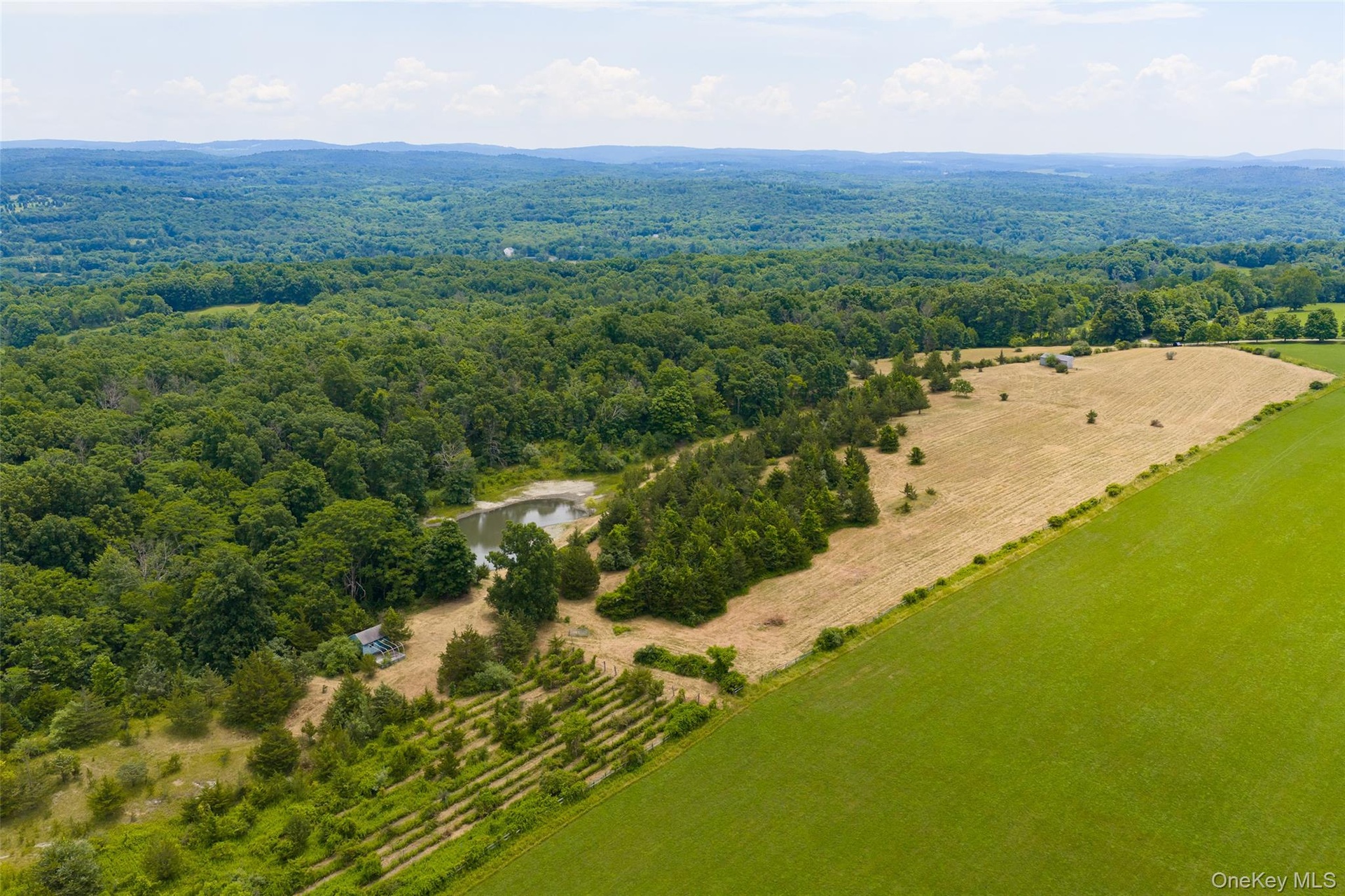 Very high drone shot of the potential house site and pond