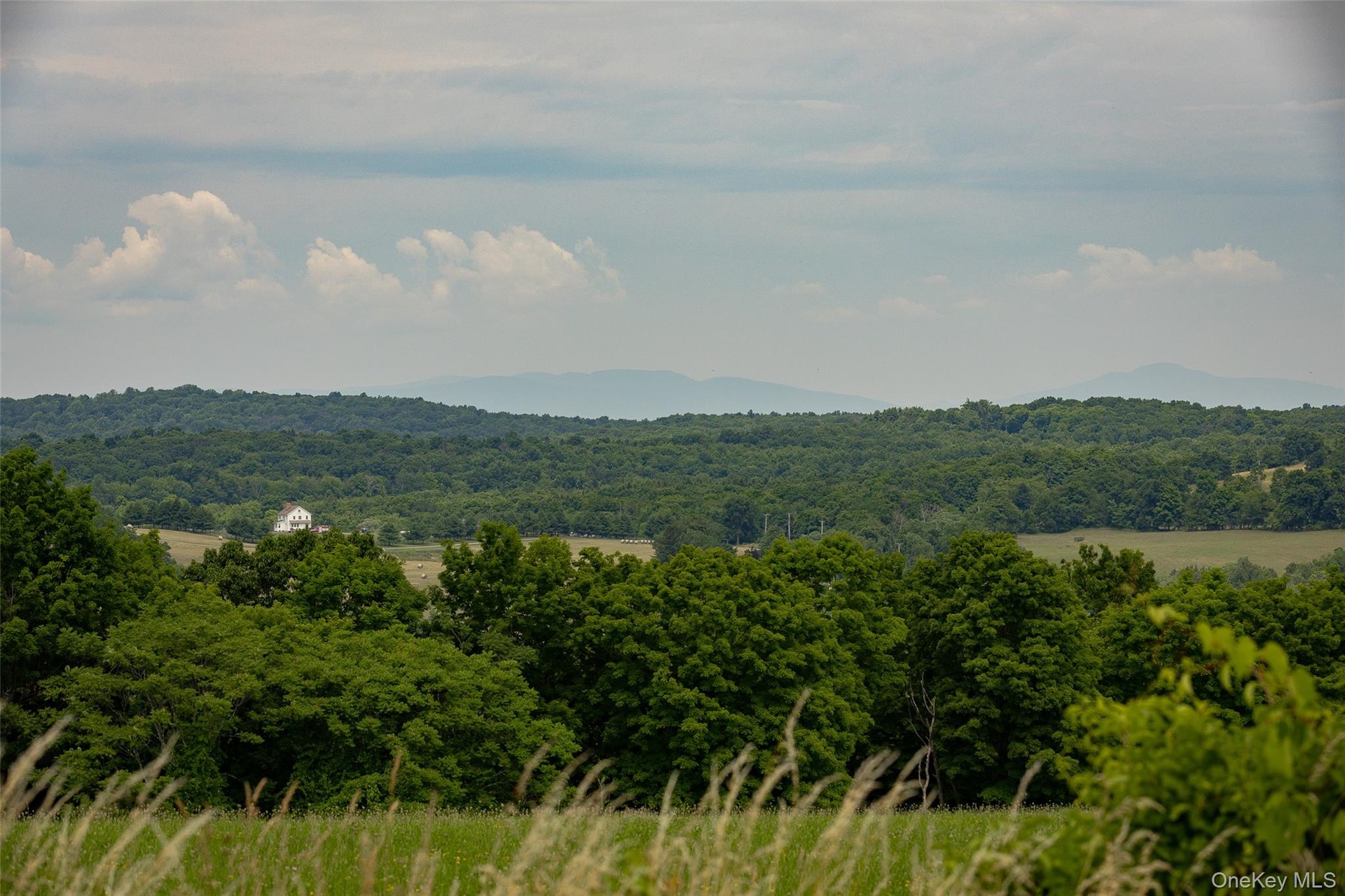 More views from ground level at that potential house site