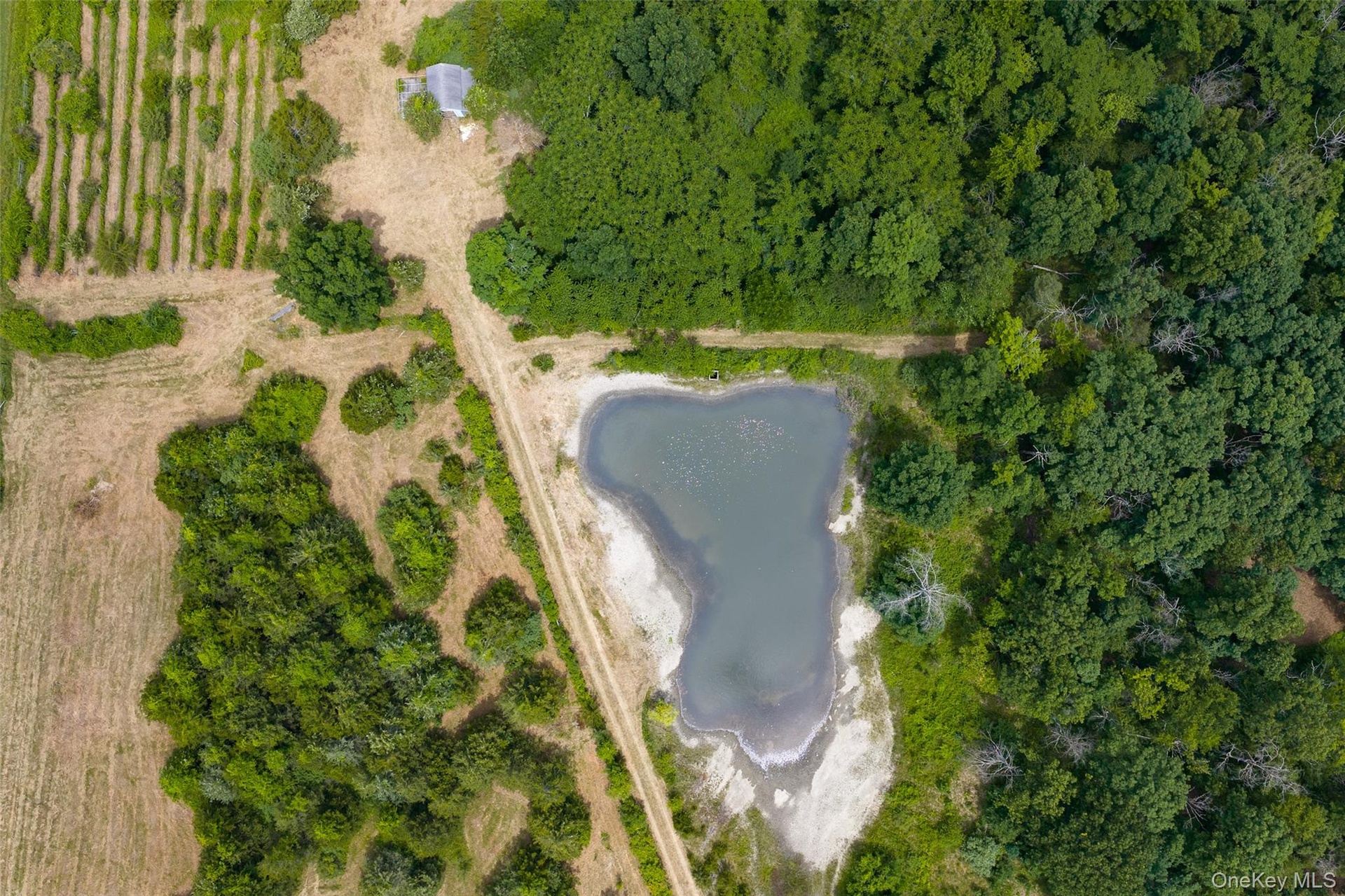 Closer look at wetlands pond