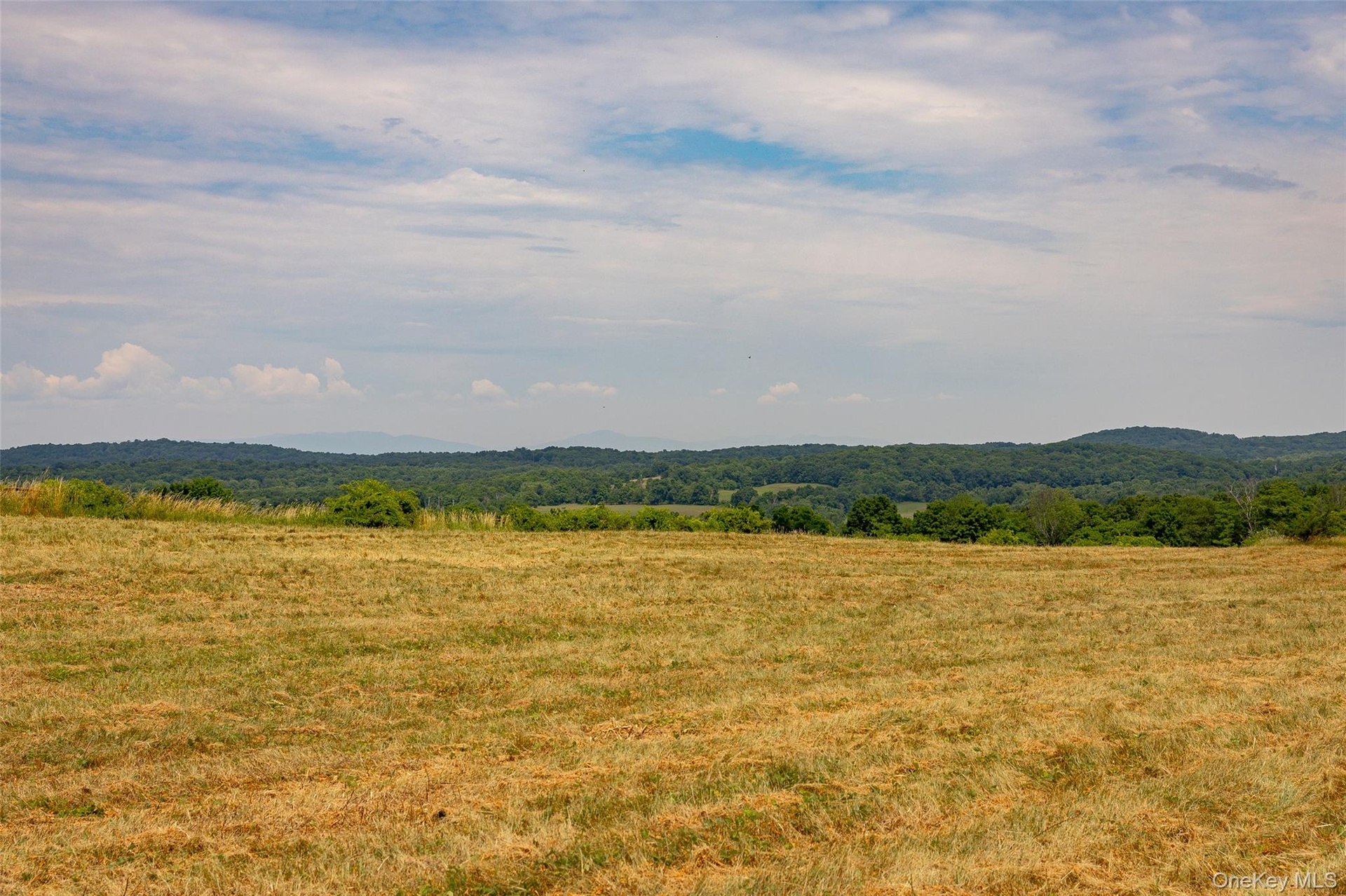 Another view of the large possible house site area