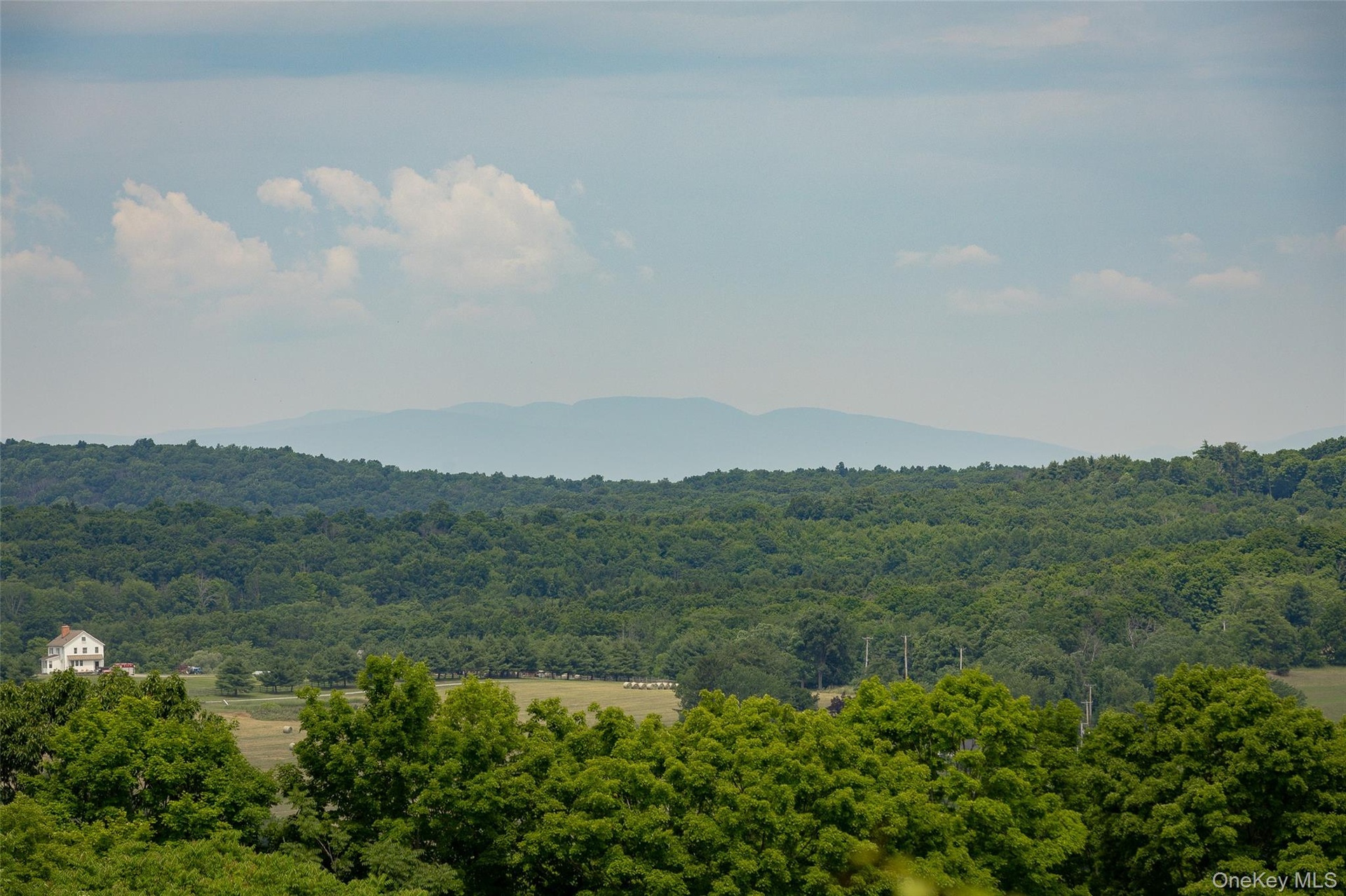 Different angle from the potential house site in large cut open area
