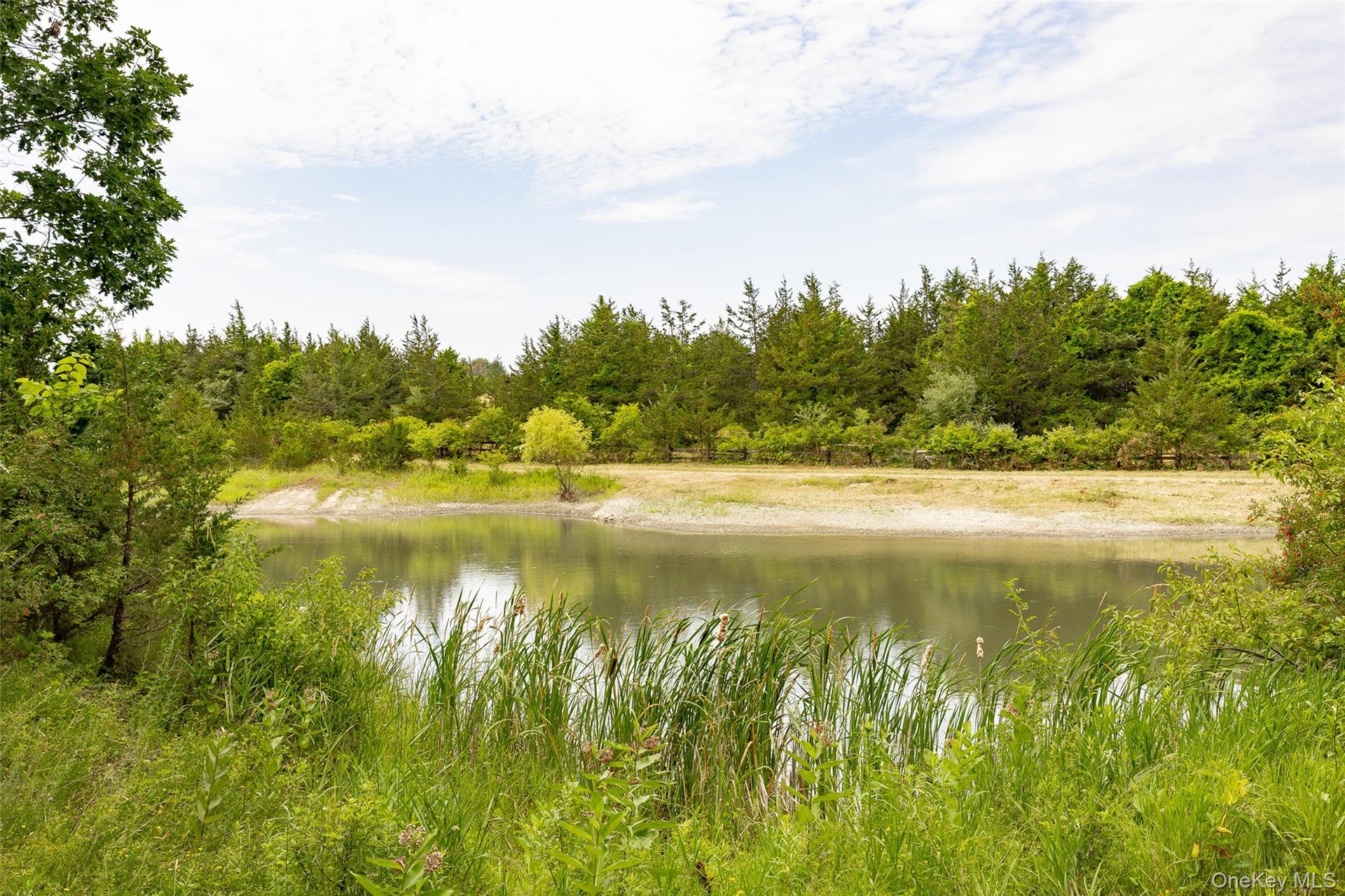 Wetlands pond different view