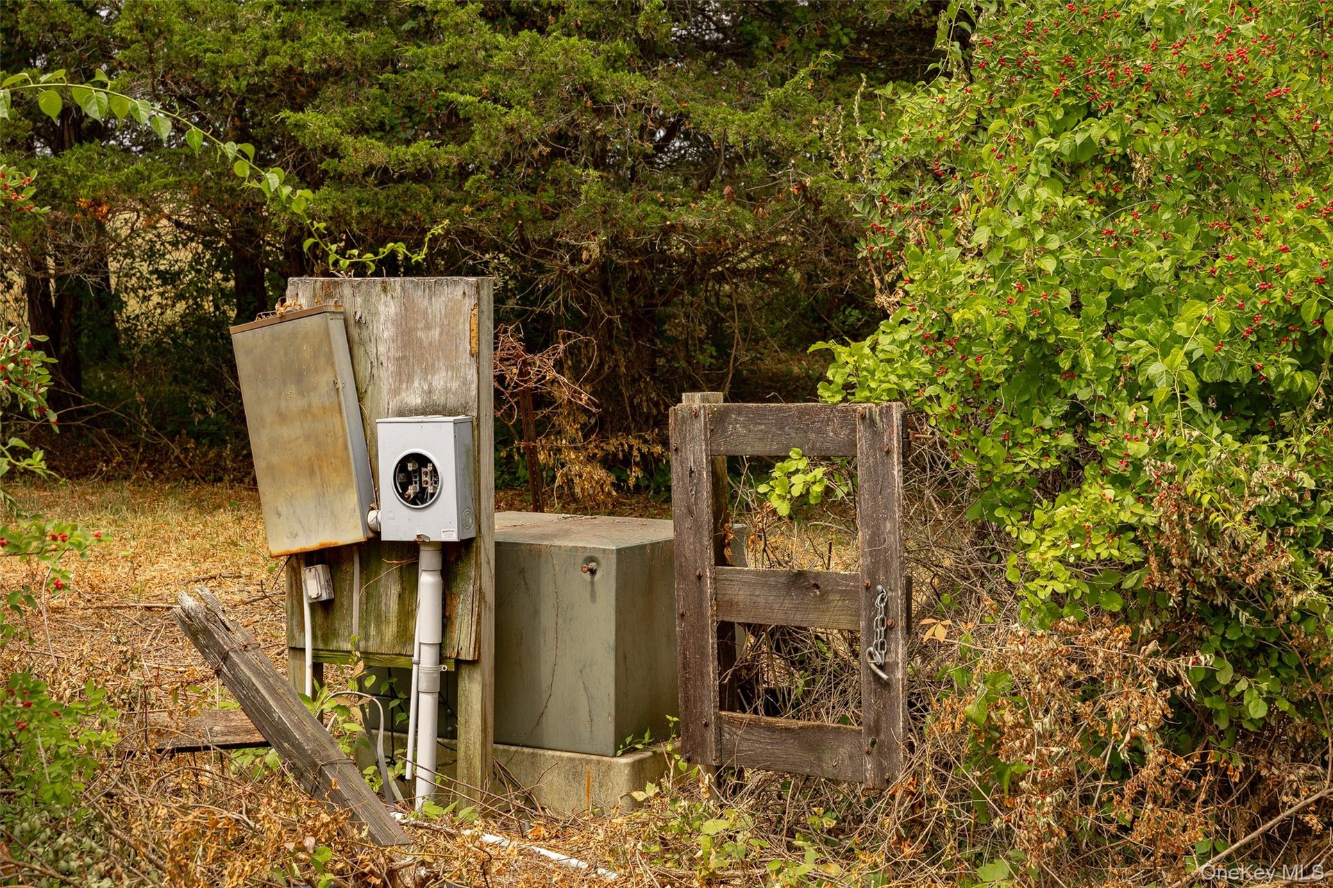 Central Hudson Transformer in the middle of the property.