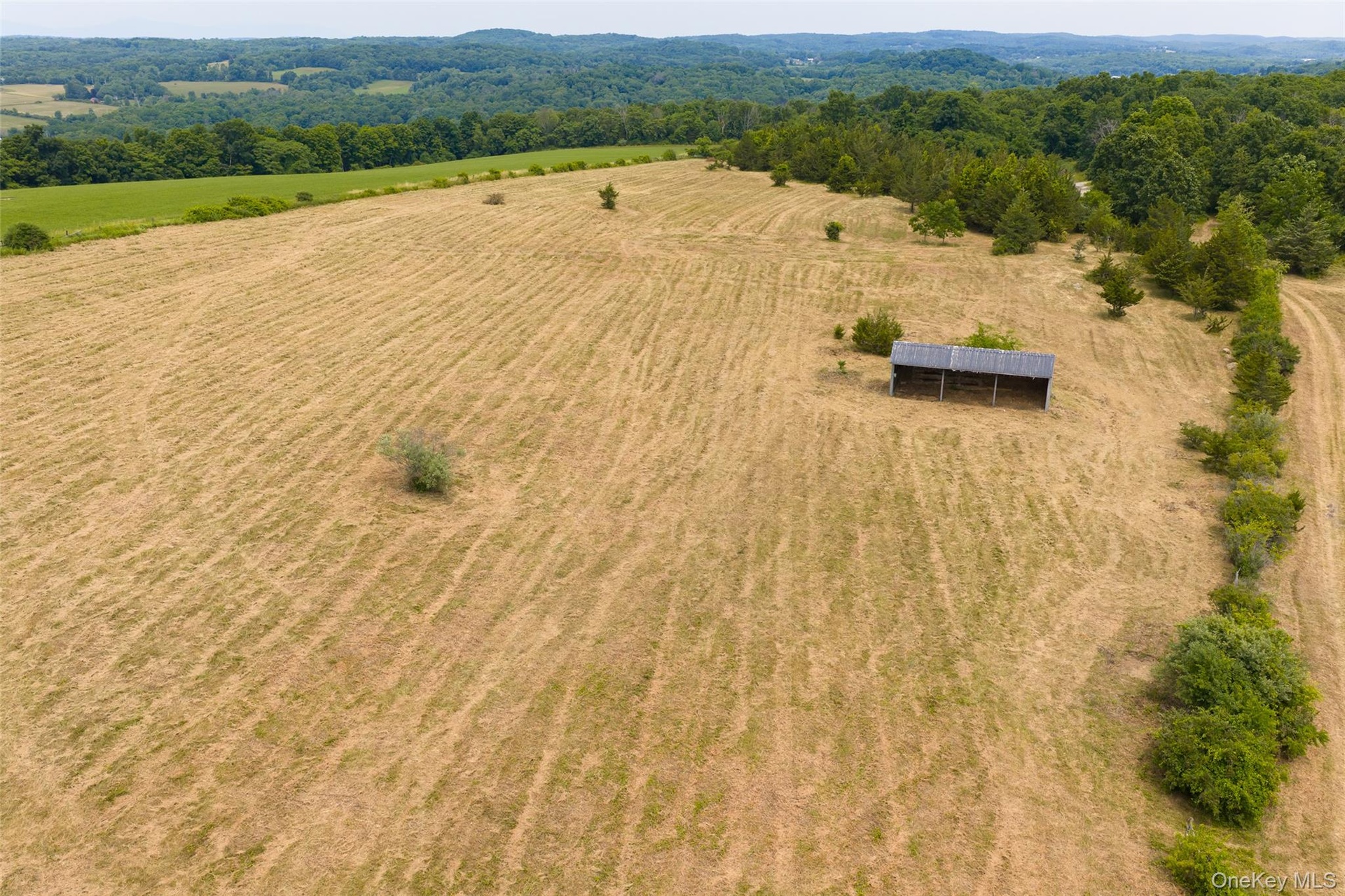 Potential house site - different angle