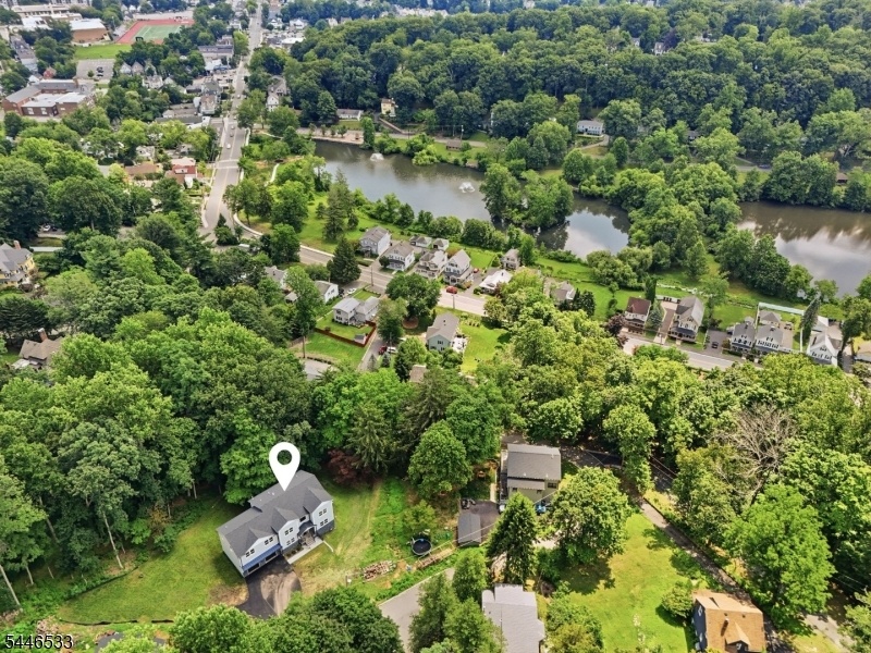 Drone View