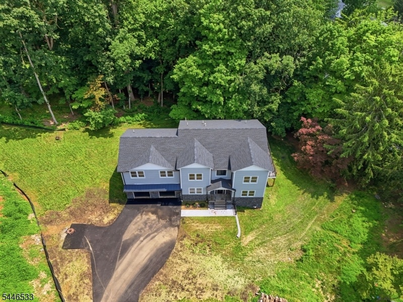 Drone View