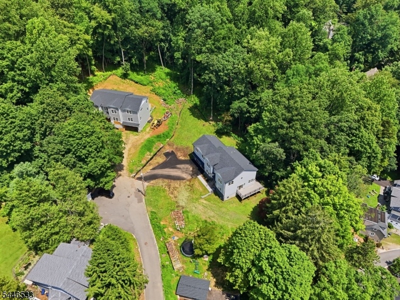 Drone View