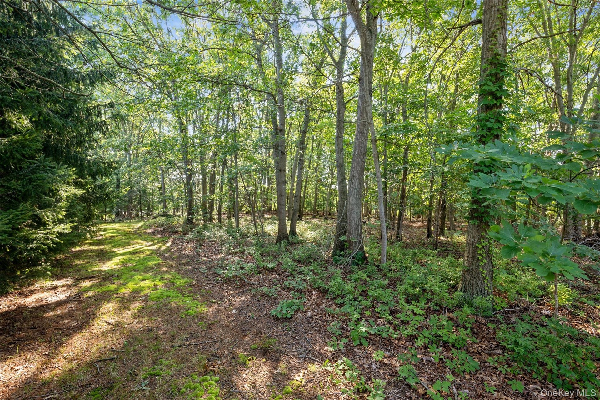 Private 2.48 Acres