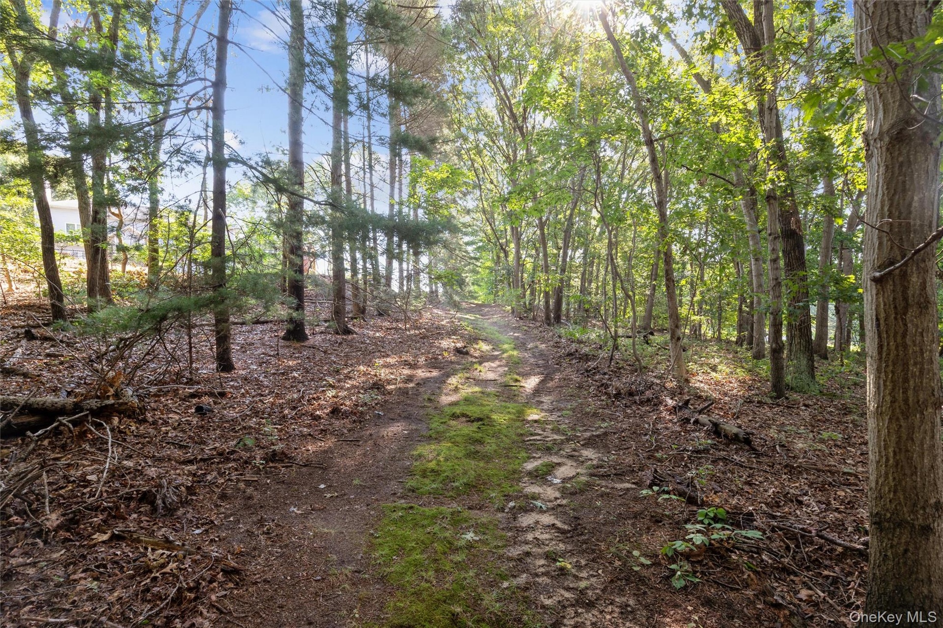 Rare 2.48 acres