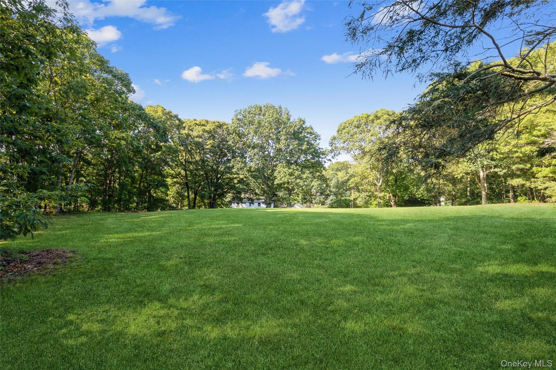Rare & Beautiful 2.48 acres