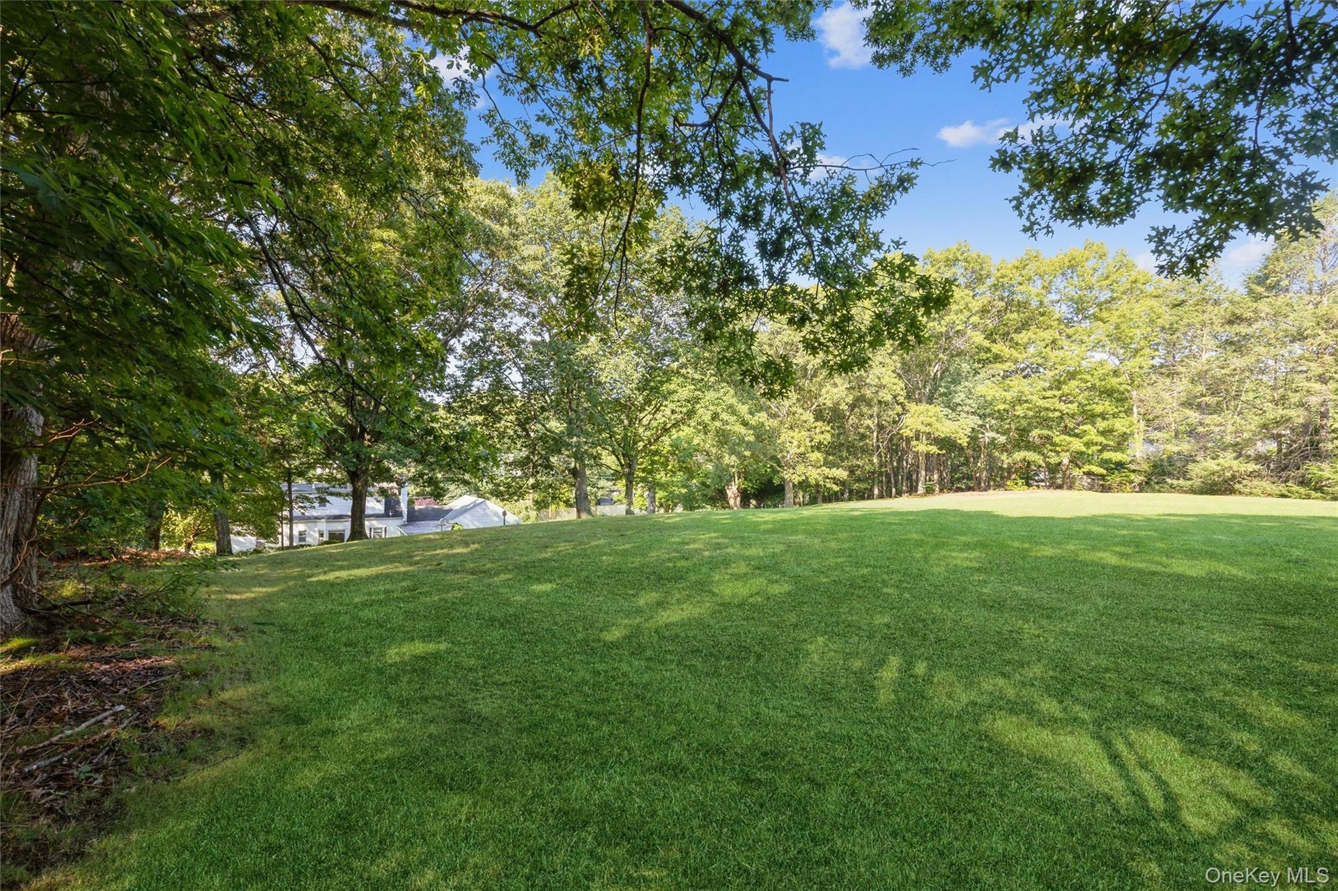 Rare & Beautiful 2.48 acres