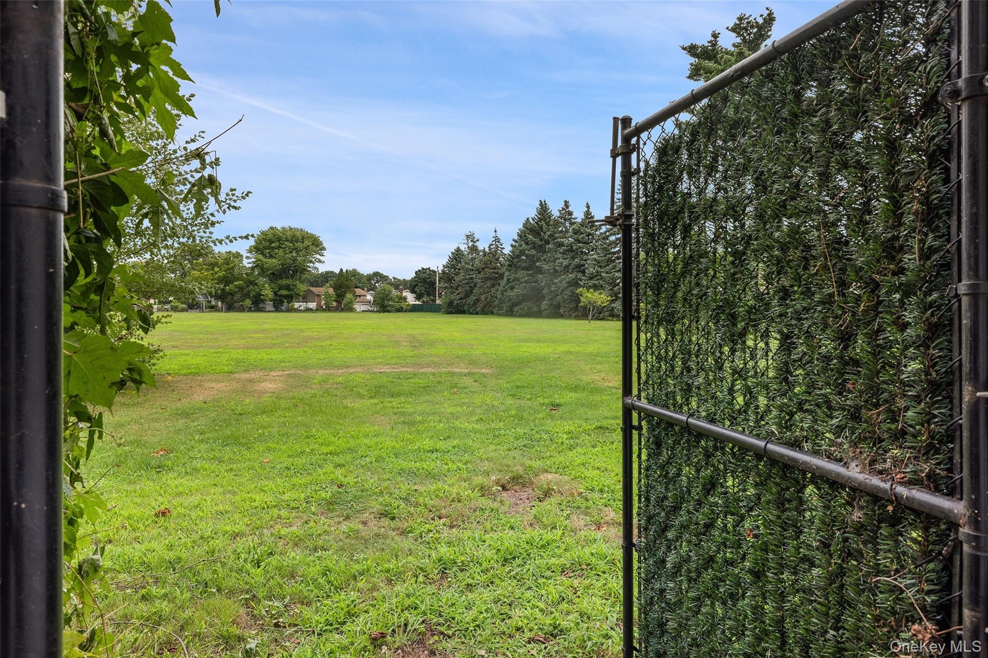 Extended backyard with open field with playground in far corner adjacent to elementary school