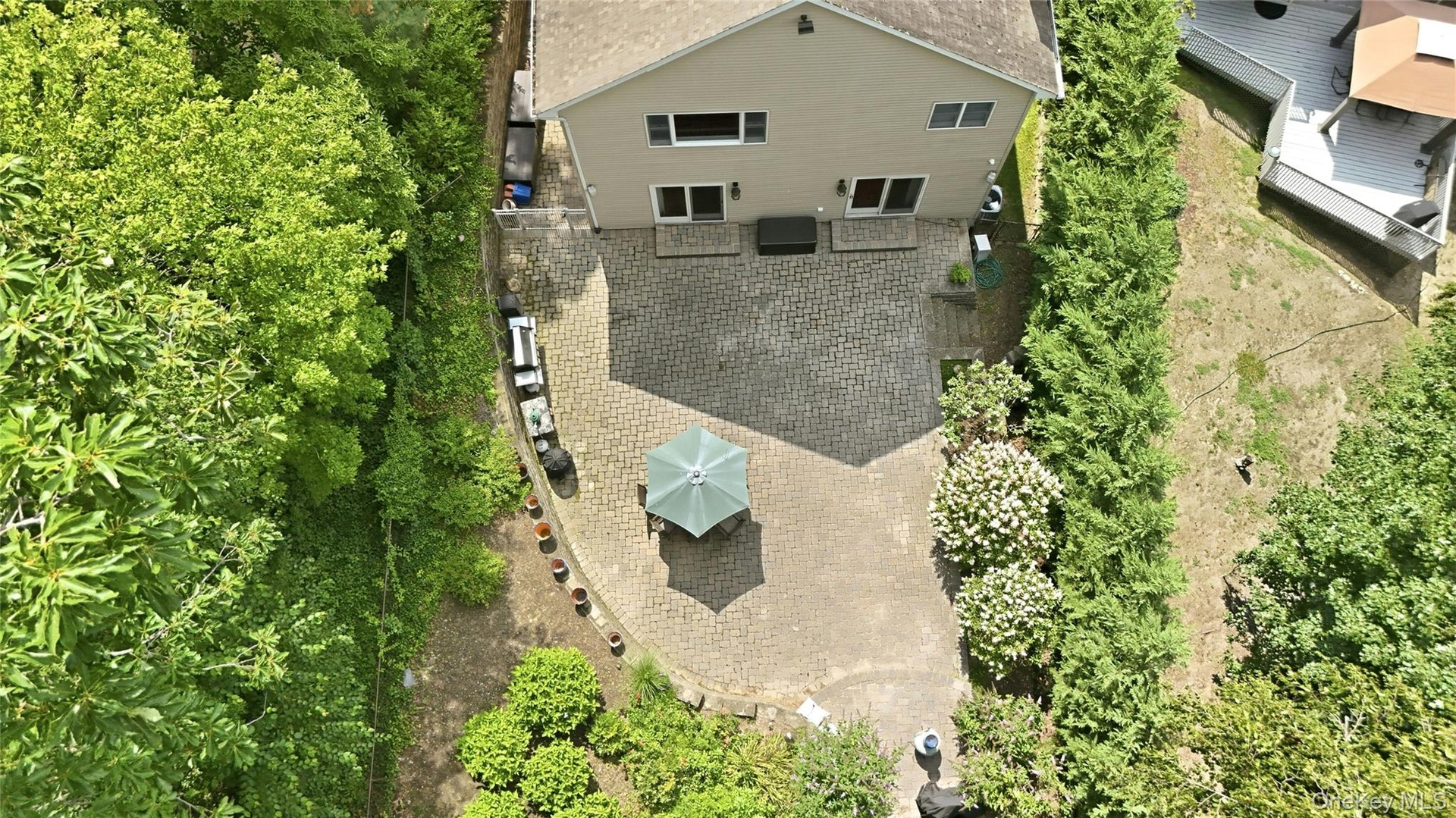 Privacy trees surround your backyard oasis