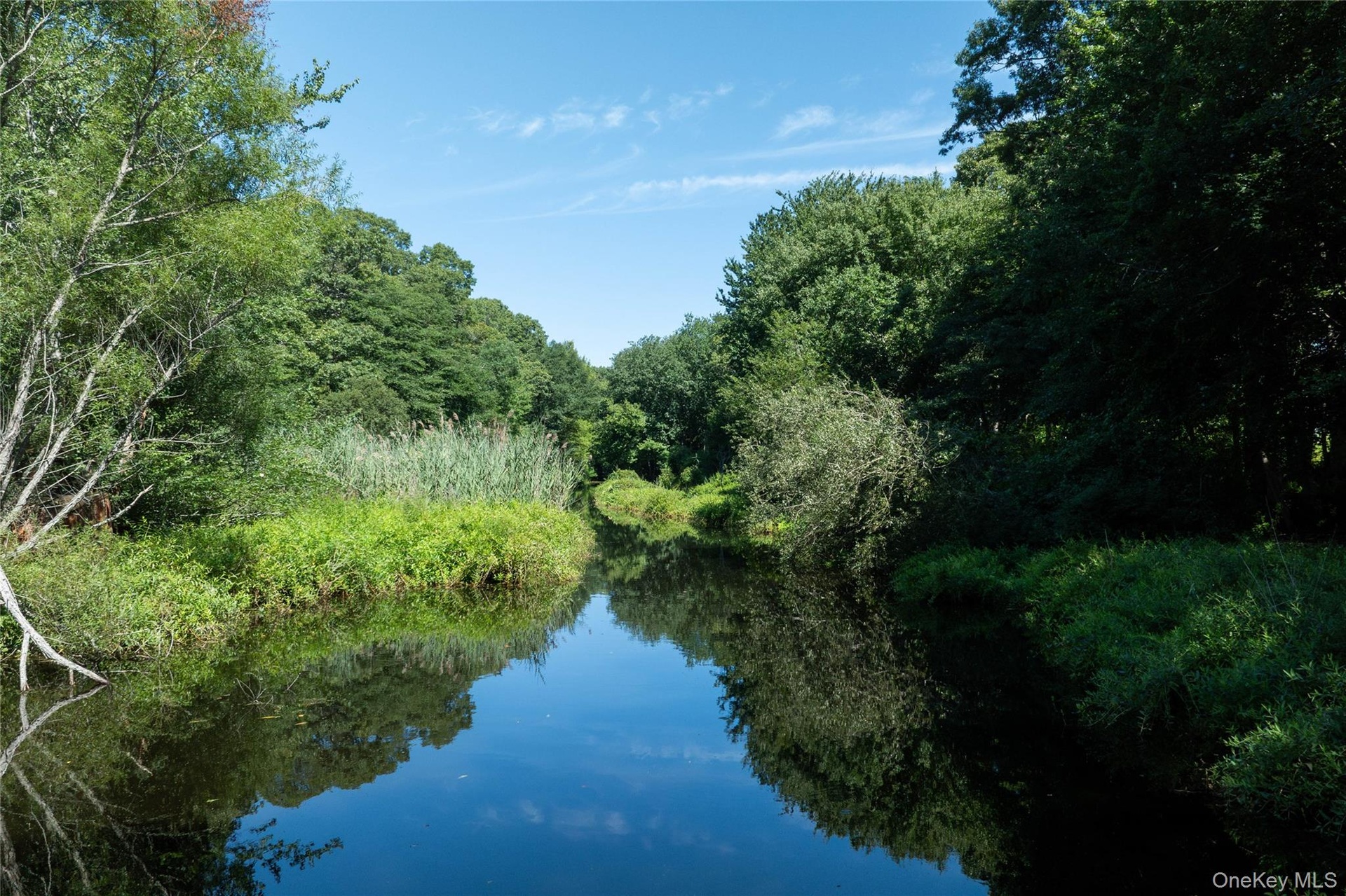 Forever Creek View