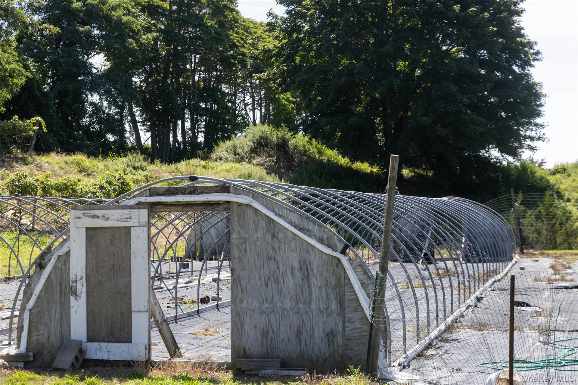 Hoop house, one of five