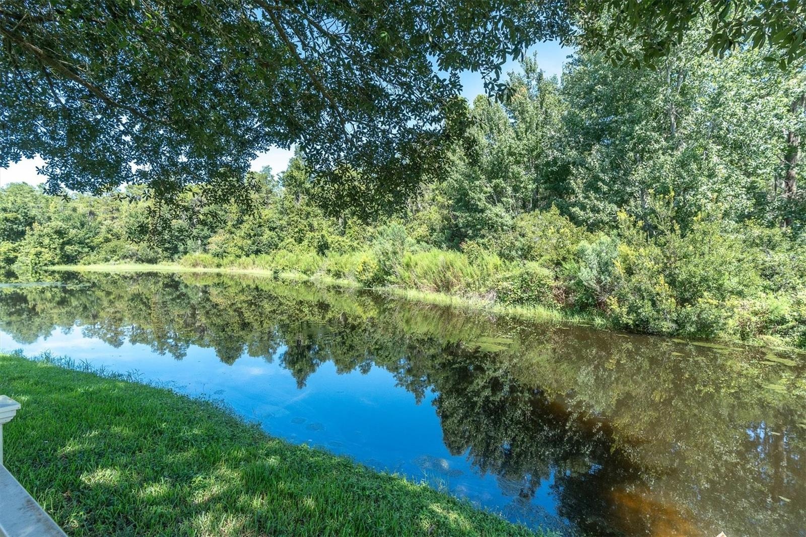 POND VIEWS