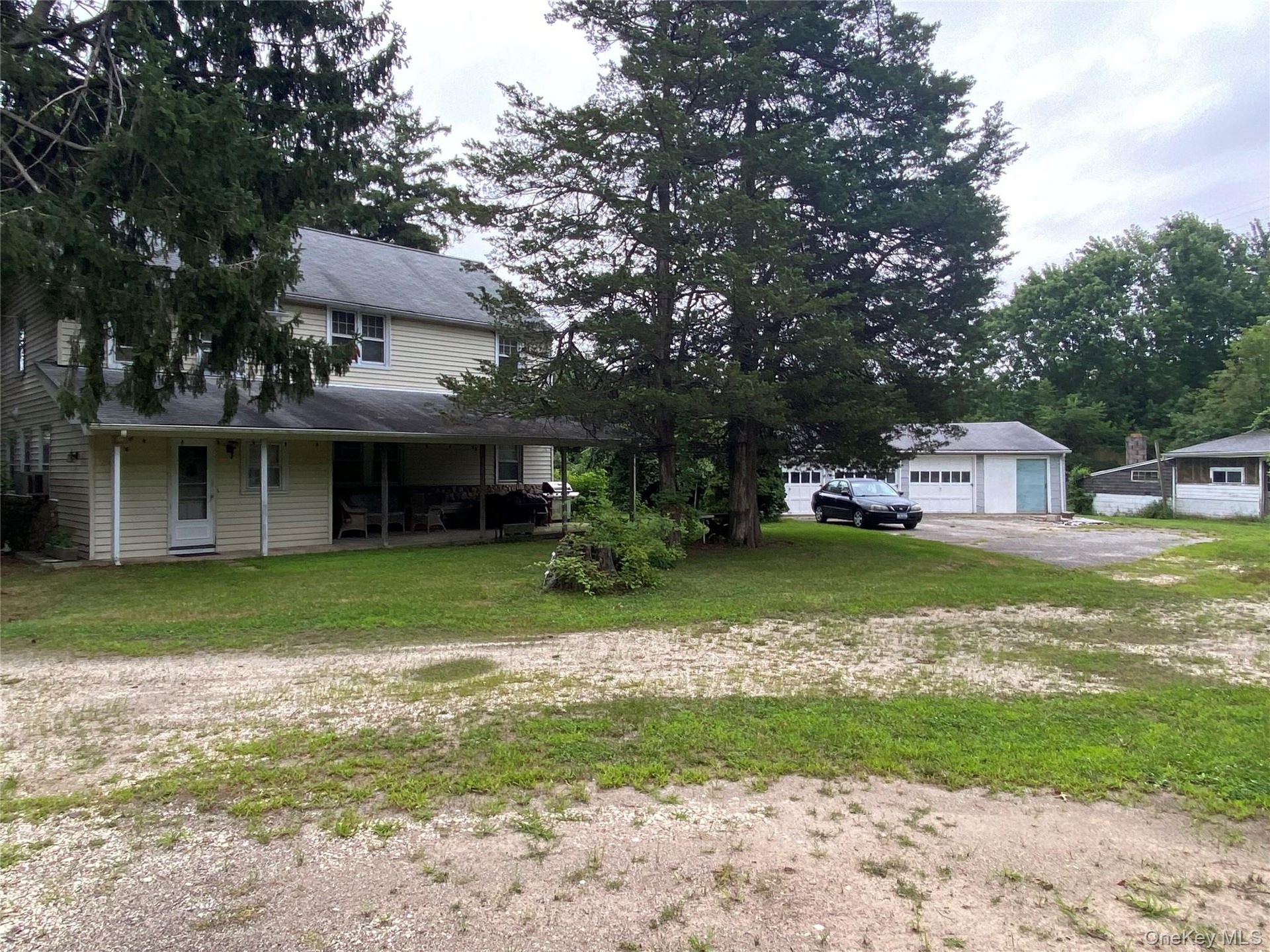 Back yard