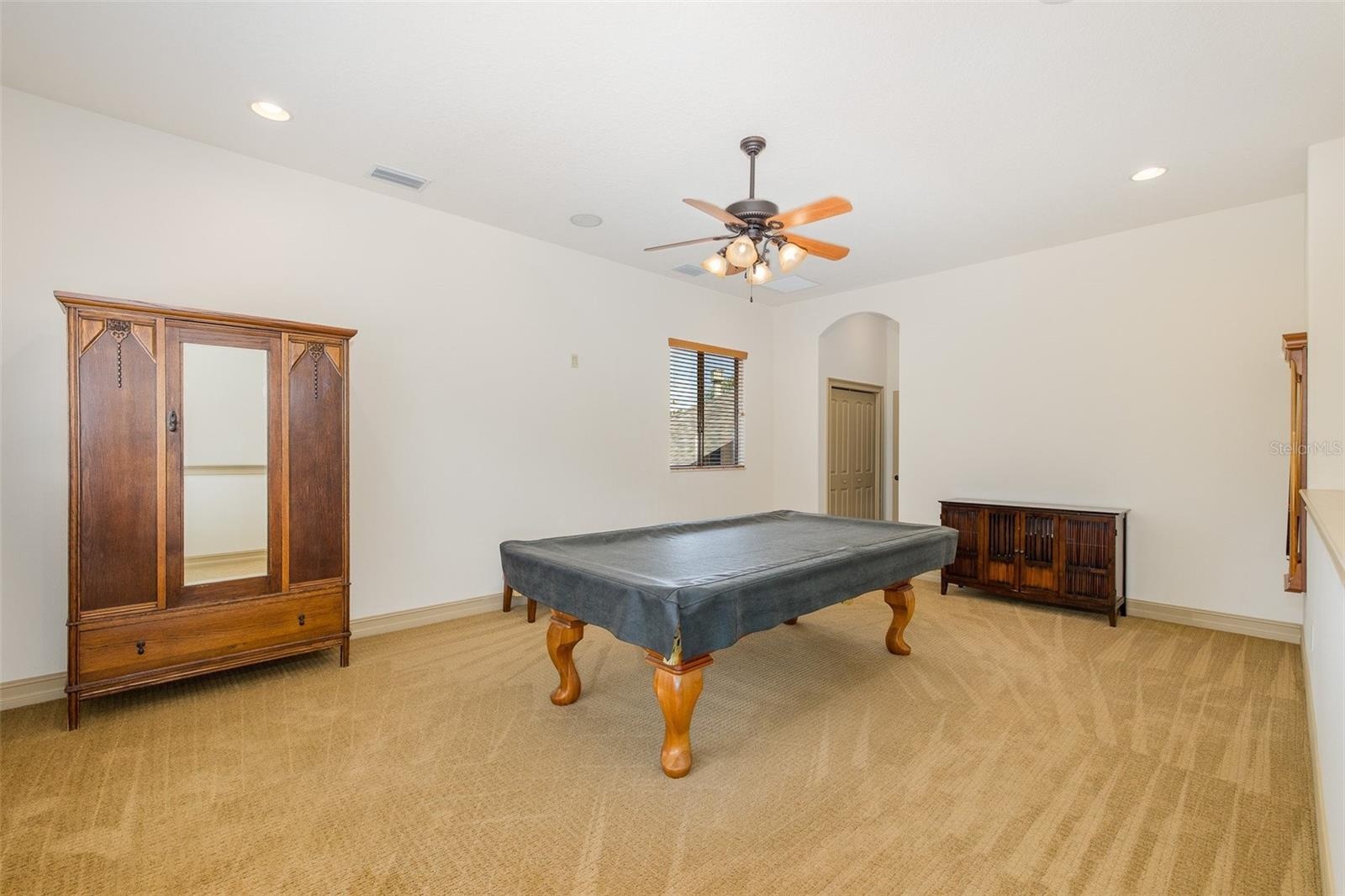 Bonus Room/Loft
