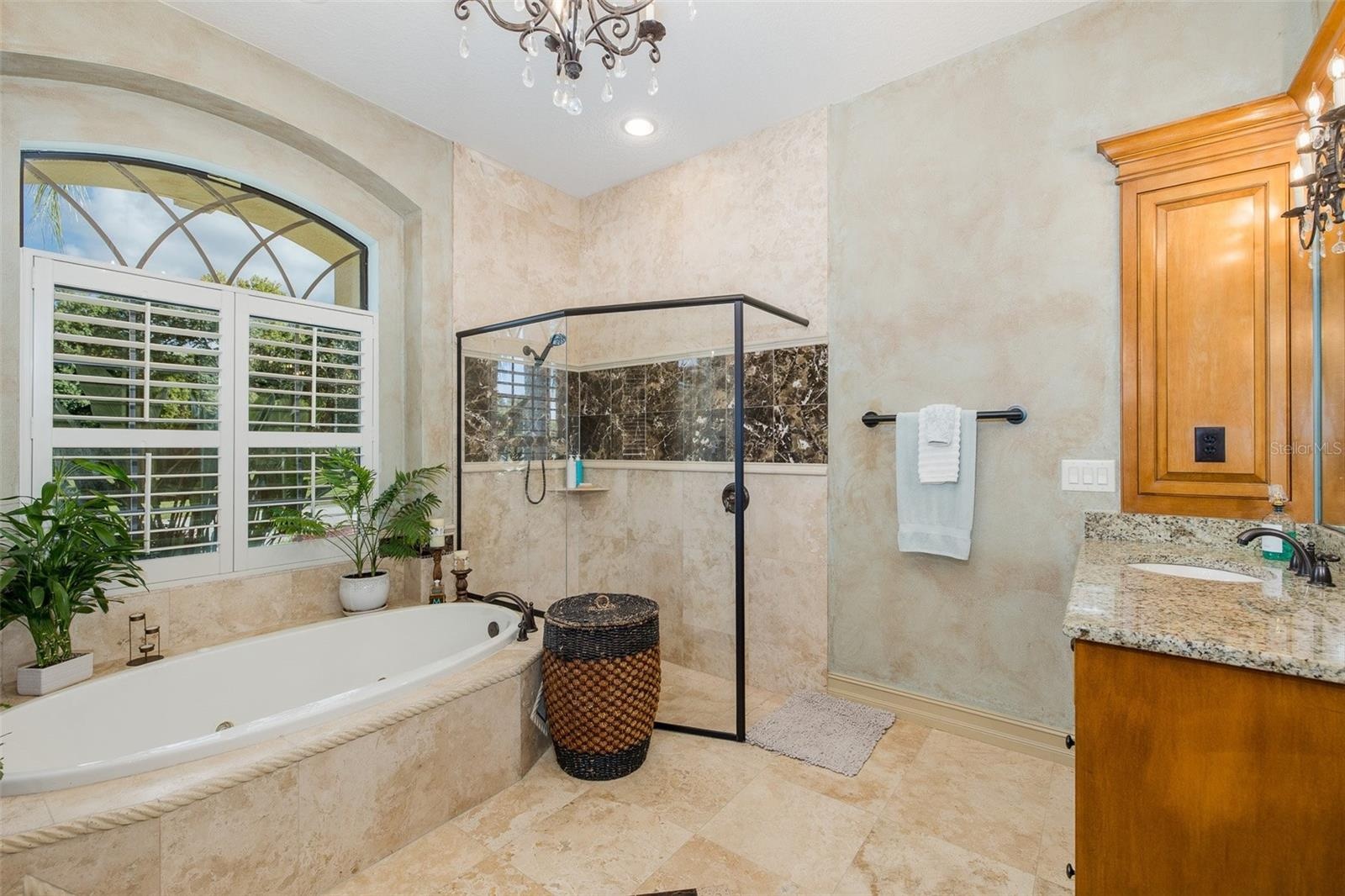 Luxurious Primary Bath