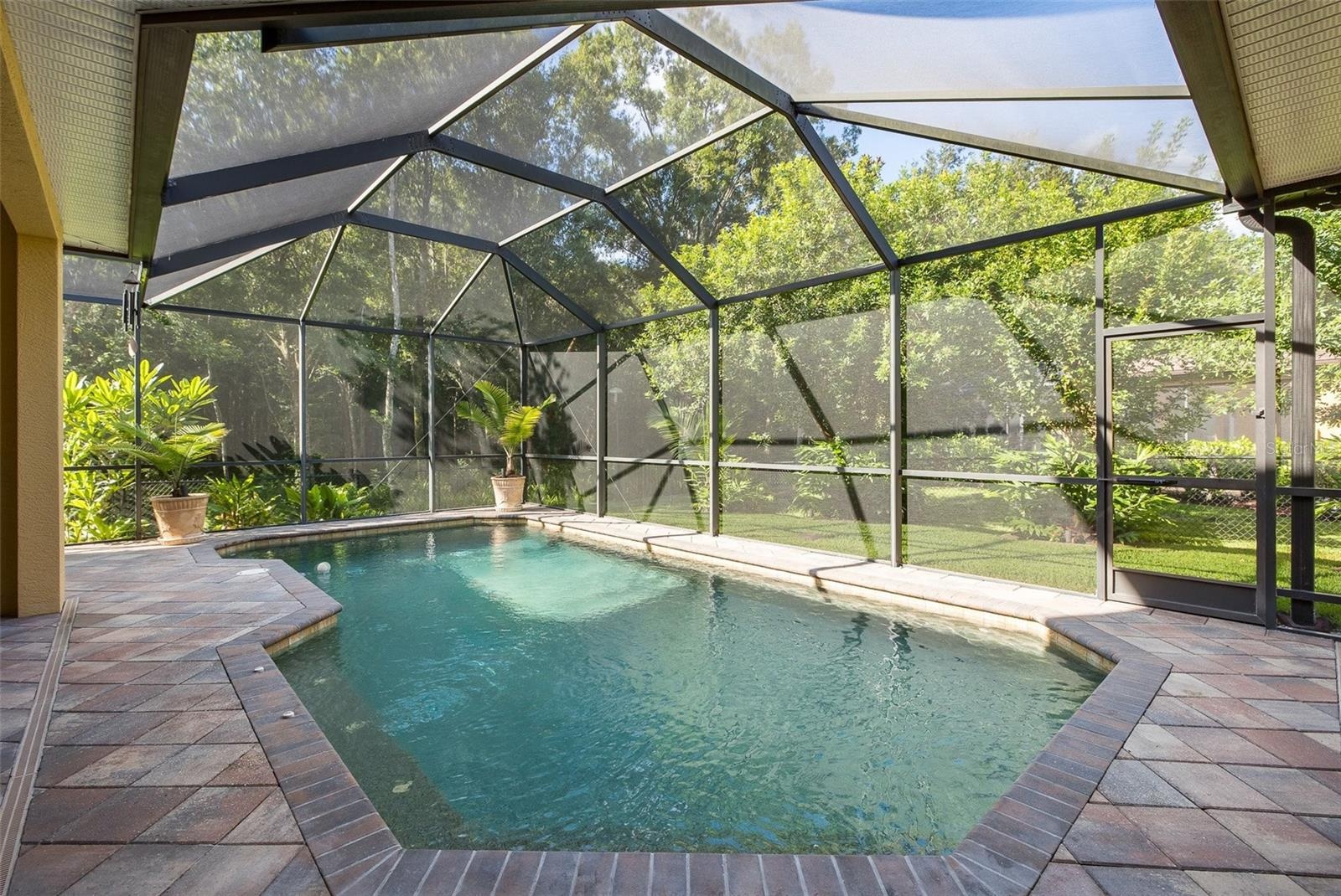 Private screened saltwater pool overlooking lush backdrop