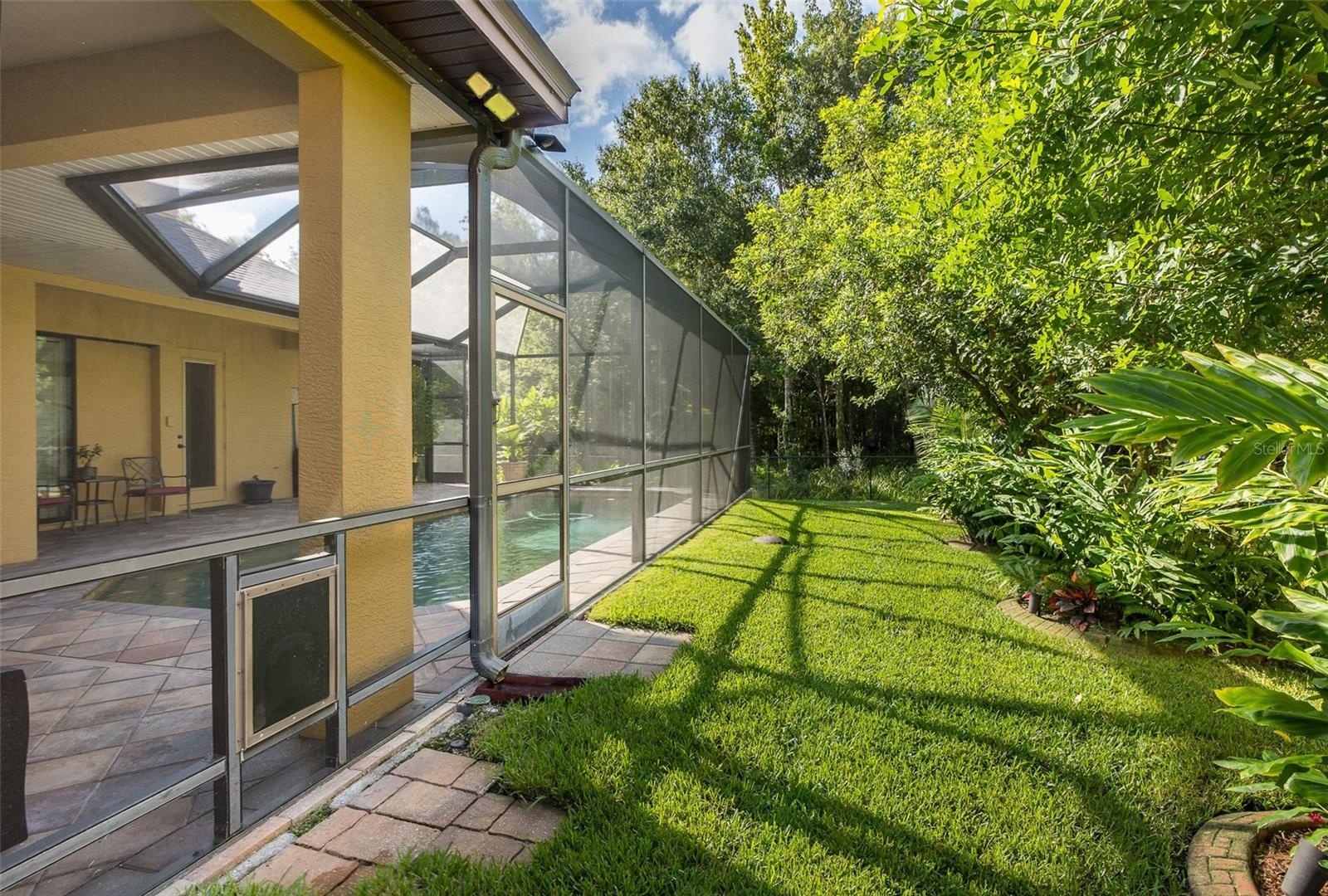 Lush landscaped backyard