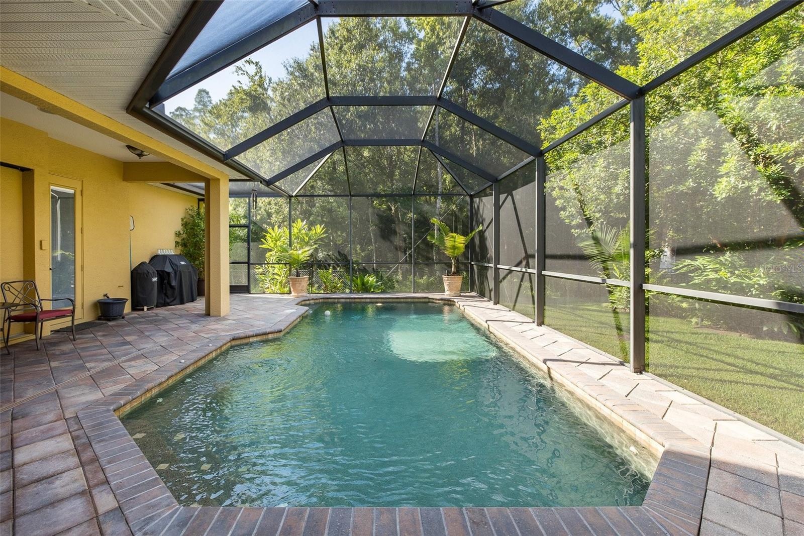 Saltwater Pool with pavered deck