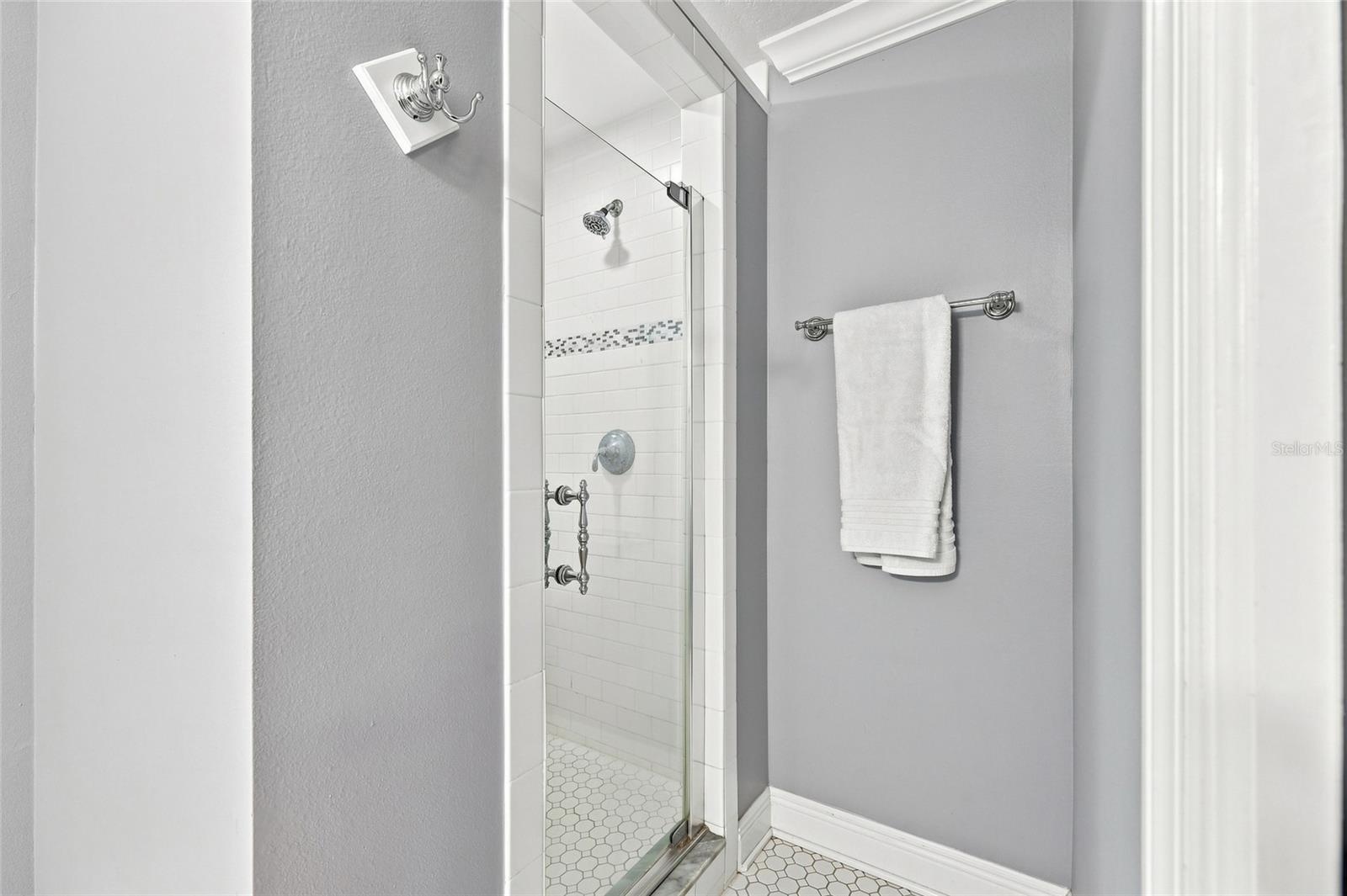 Walk-in master bathroom shower