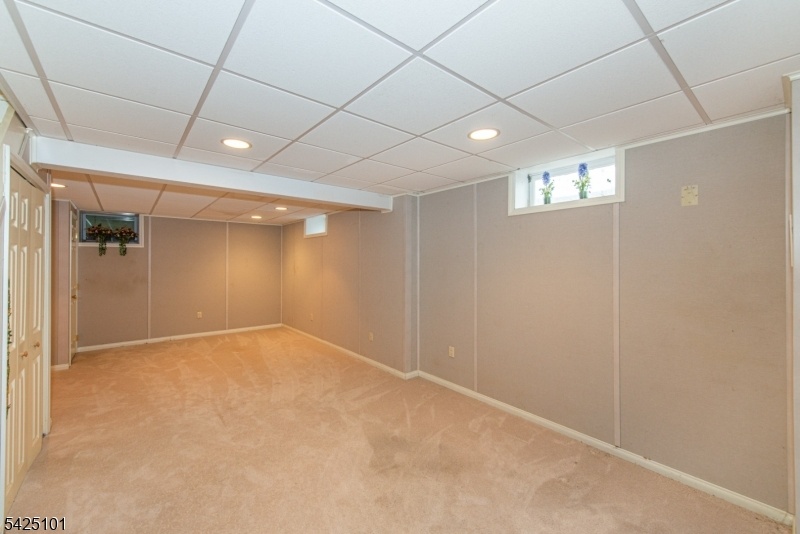 Finished Lower Level