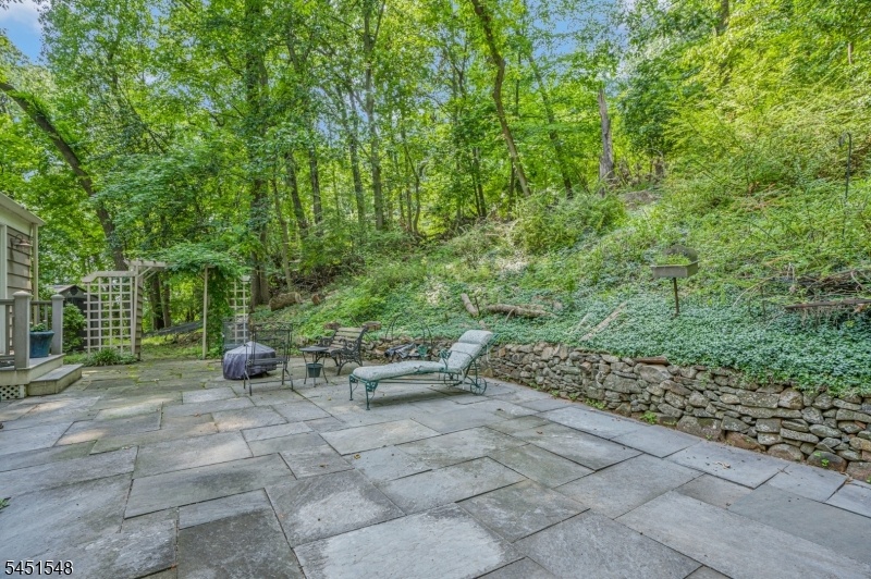 Back Patio