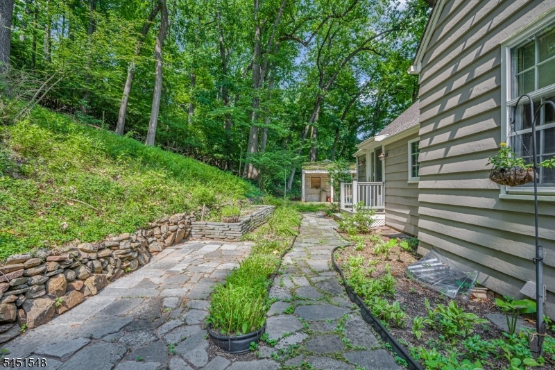 Rear Patio