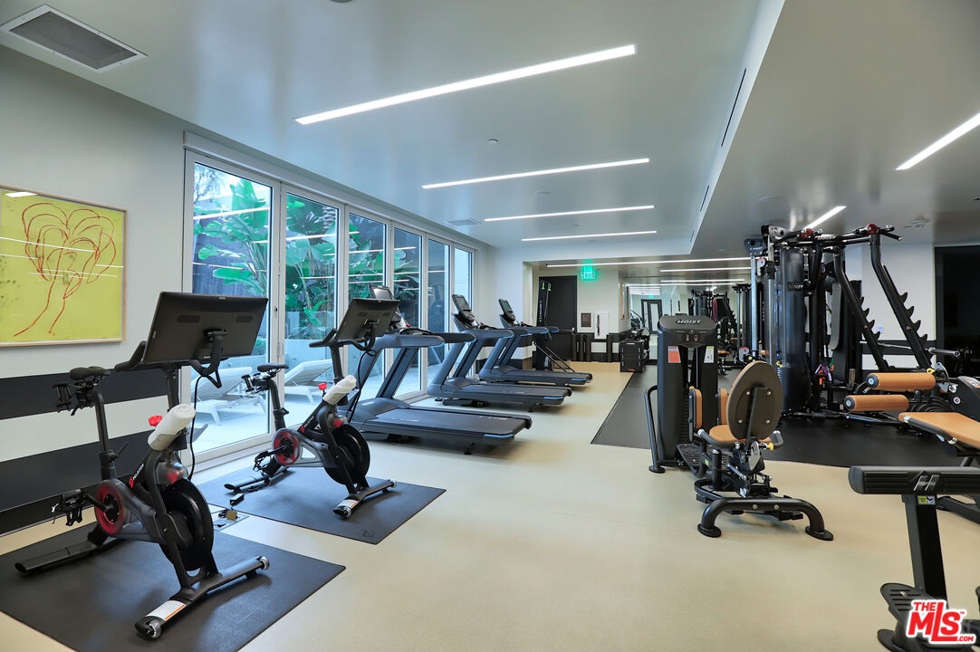 Building gym