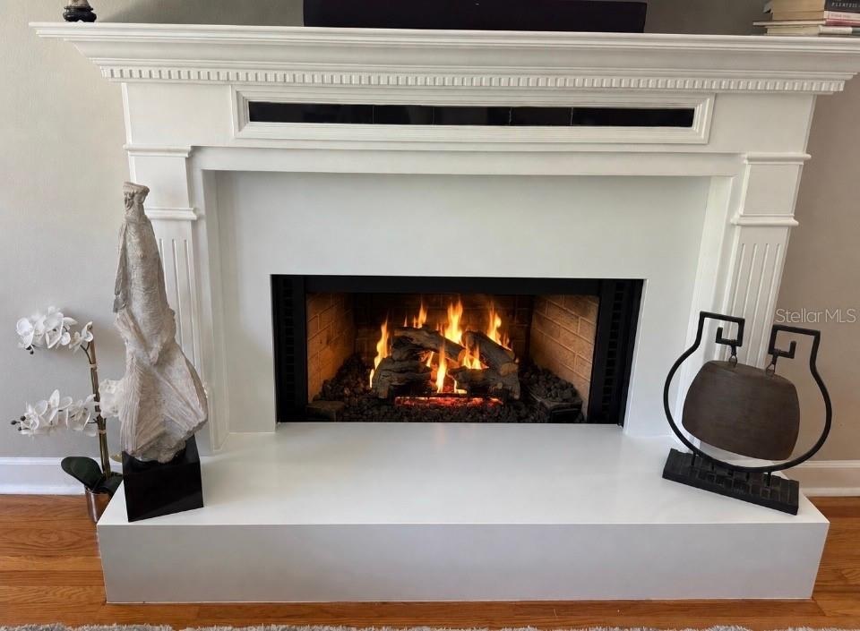 First floor fire place, gas log insert without fire screen