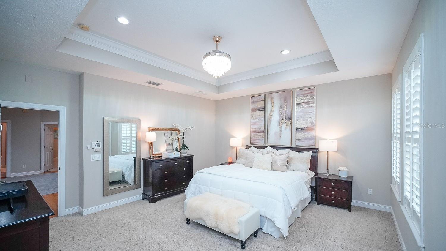 Massive Owners Suite with Tray Ceiling