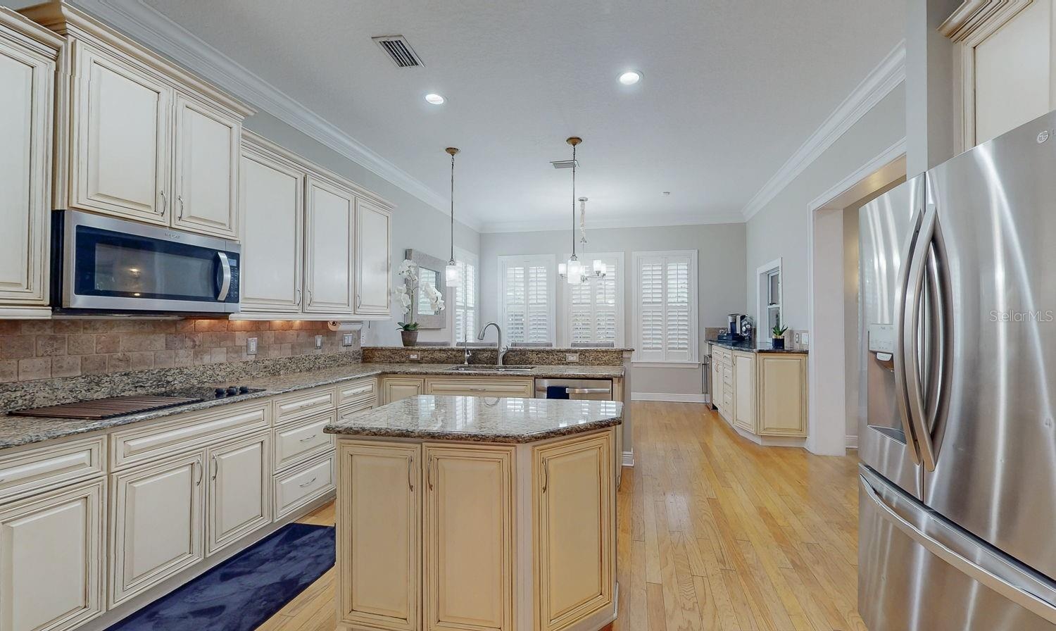 Chef's Dream Kitchen