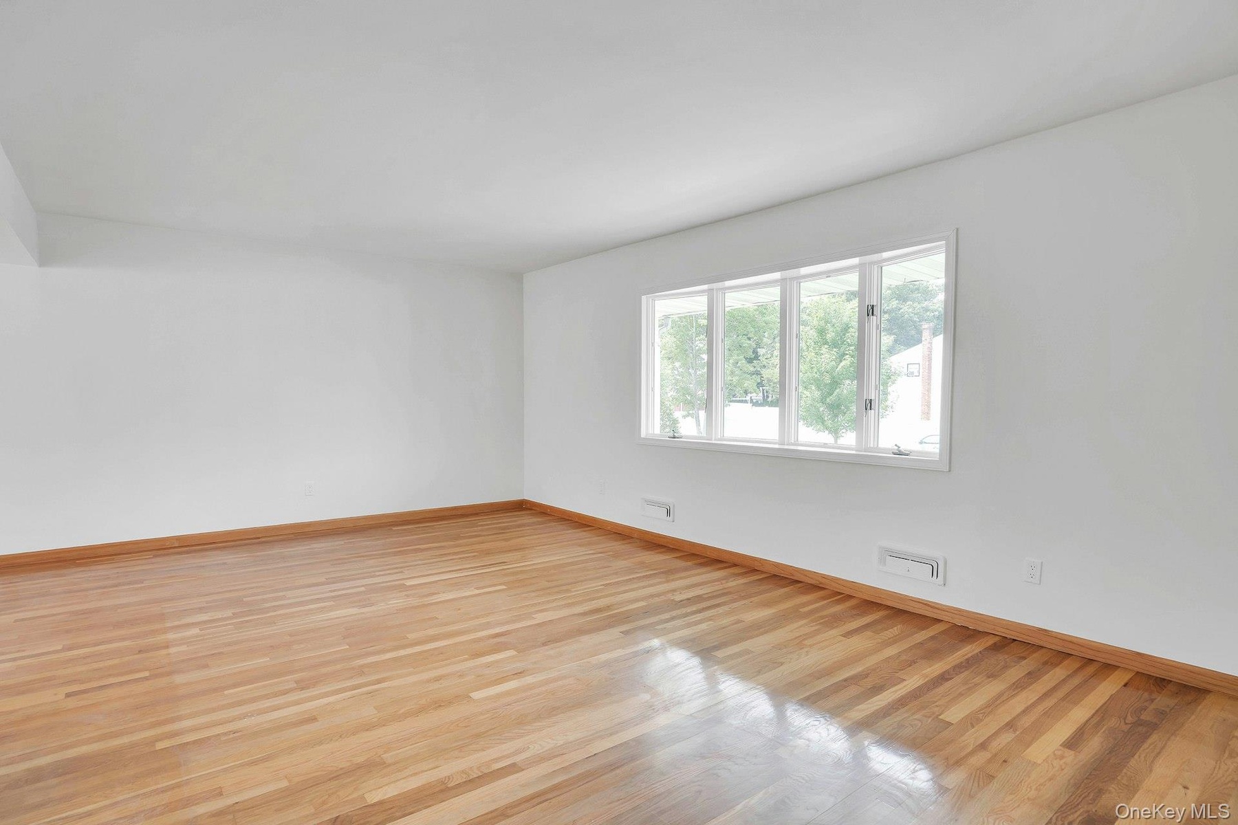 A lot of natural light.