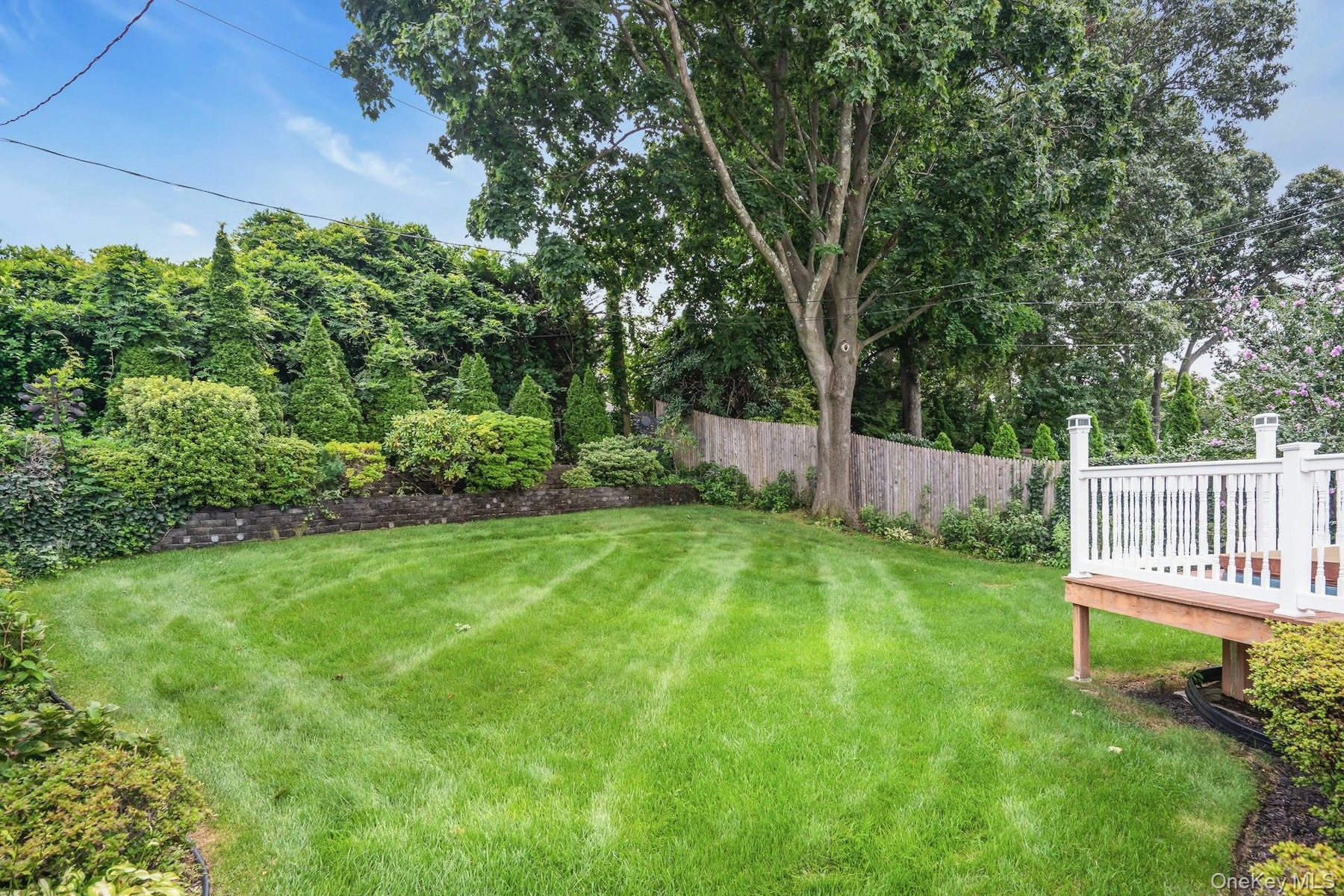 Lawn.