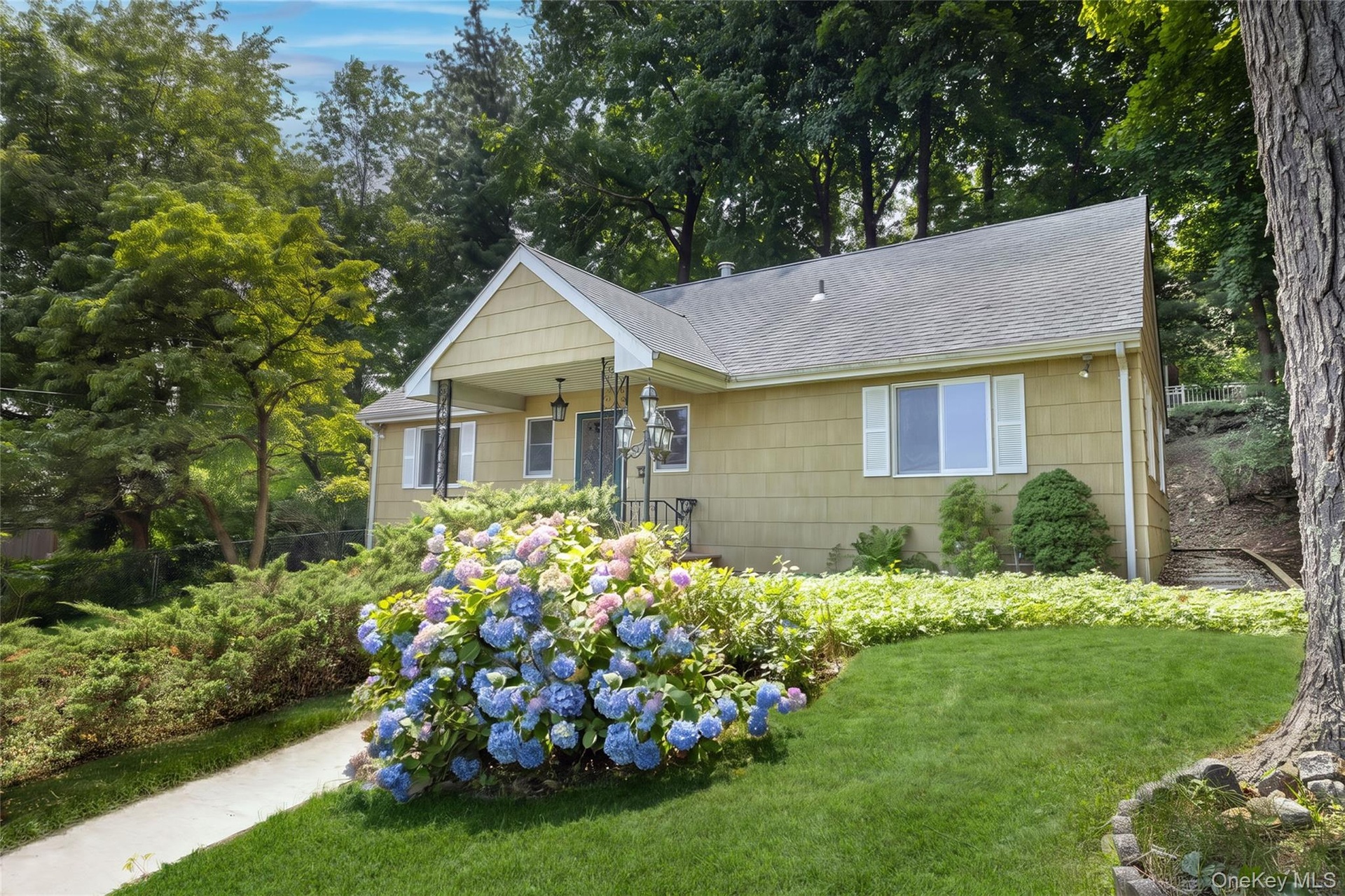 Welcome to 64 Bradley Street!
