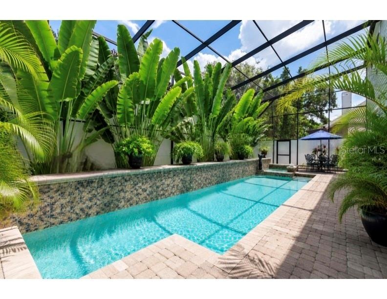 Pool area with waterfall feature, surrounded by a paver deck, outdoor shower and privacy screens, area behind pool enables large in ground plantings